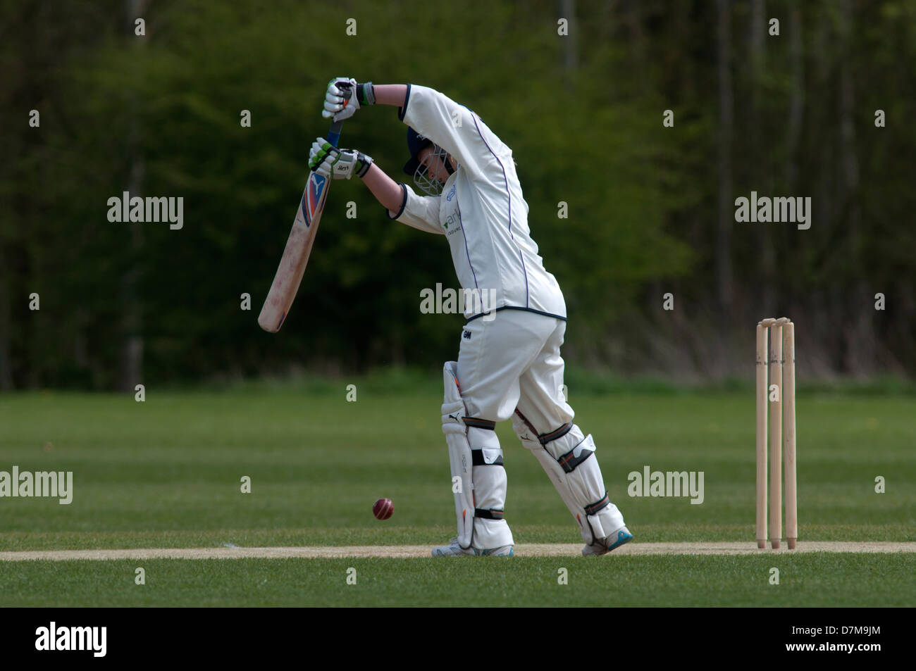 Le sport universitaire, mesdames cricket Banque D'Images