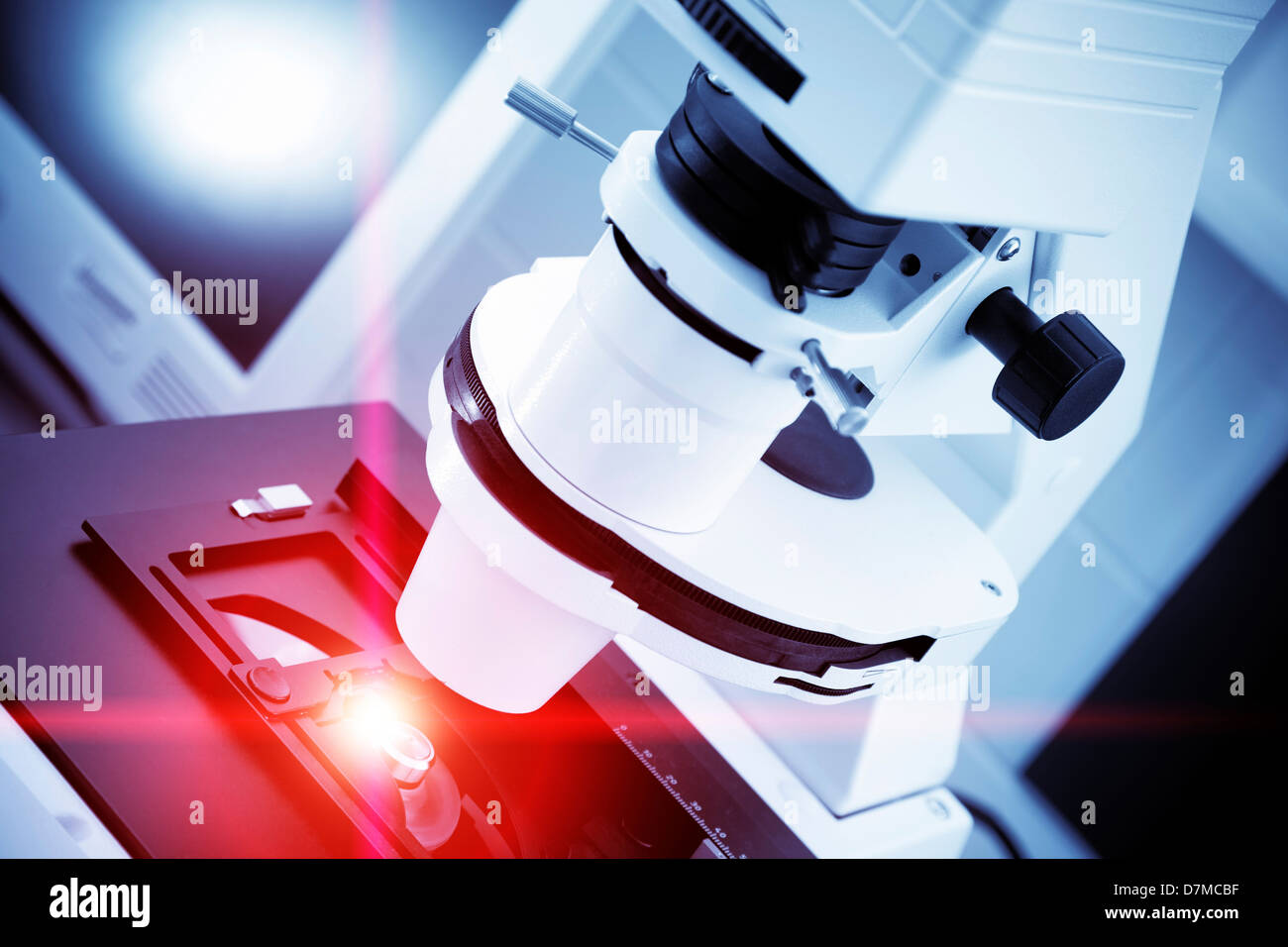 Microscope optique Banque D'Images