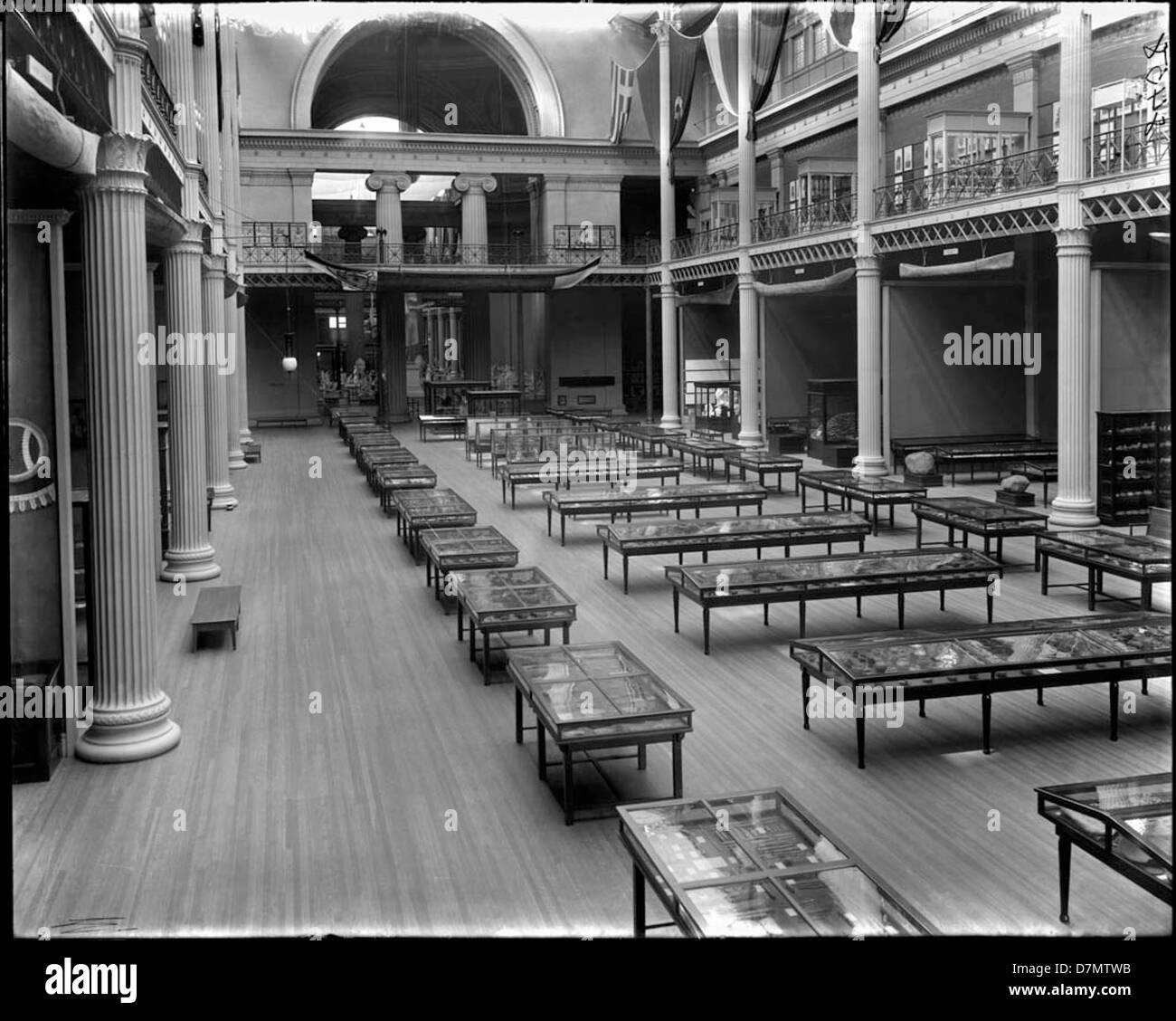Cette image représente une exposition sur l'archéologie et l'ethnologie nord-américaines au Field Museum de Chicago, mettant en valeur les diverses cultures et artefacts des peuples autochtones d'Amérique du Nord. Banque D'Images