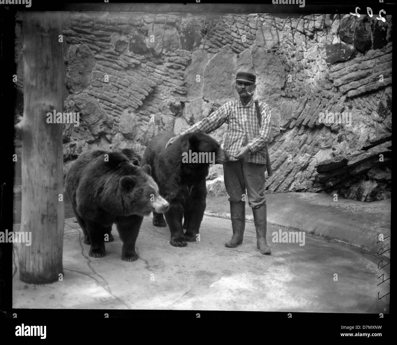 Zookeeper et les ours Banque D'Images