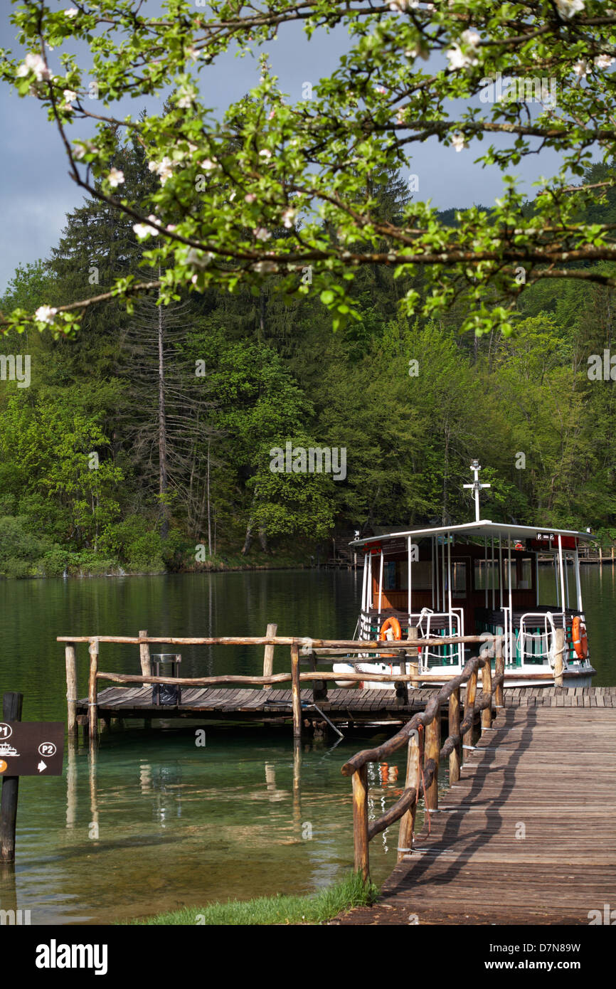 Bateaux touristiques sur le lac Kozjak dans le parc national des lacs de Plitvice, un site du patrimoine mondial de l'UNESCO, en Croatie en mai - Parc national de Plitvice Banque D'Images