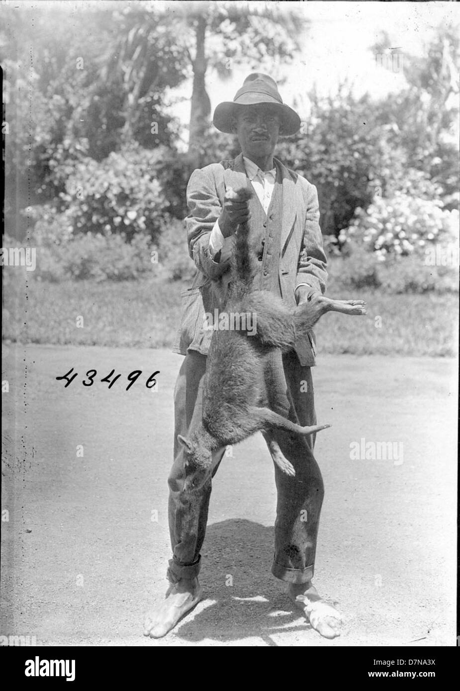 Photographie prise lors de l'expédition Stanley Field en Guyane britannique, montrant Mr. Harris tenant un crabe par sa queue. Cette image illustre les premières explorations botaniques et zoologiques en Amérique du Sud. Banque D'Images