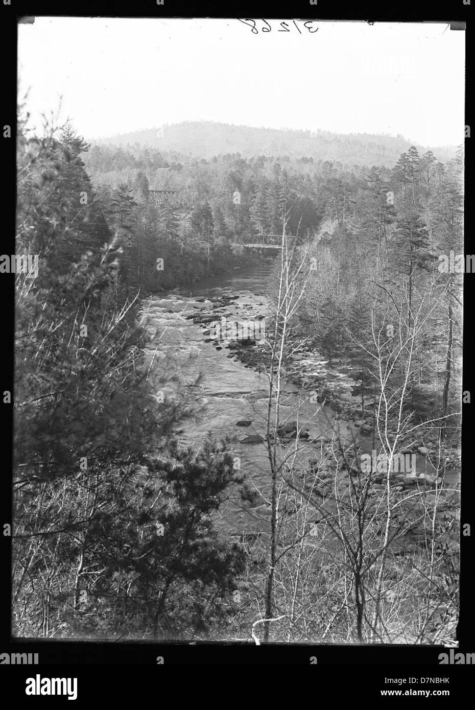 Une photographie des chutes de Tallulah en Géorgie, prise en 1910. L'image capture la beauté naturelle des chutes et des arbres environnants, mettant en valeur les paysages de la région au début du XXe siècle. Banque D'Images
