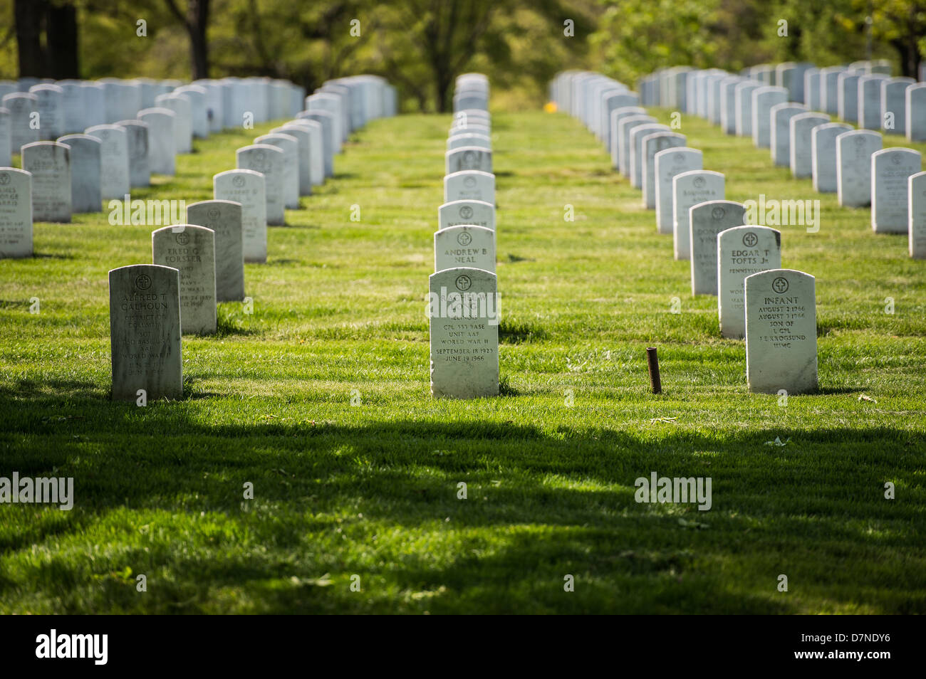 Le cimetière d'Arlington Banque D'Images