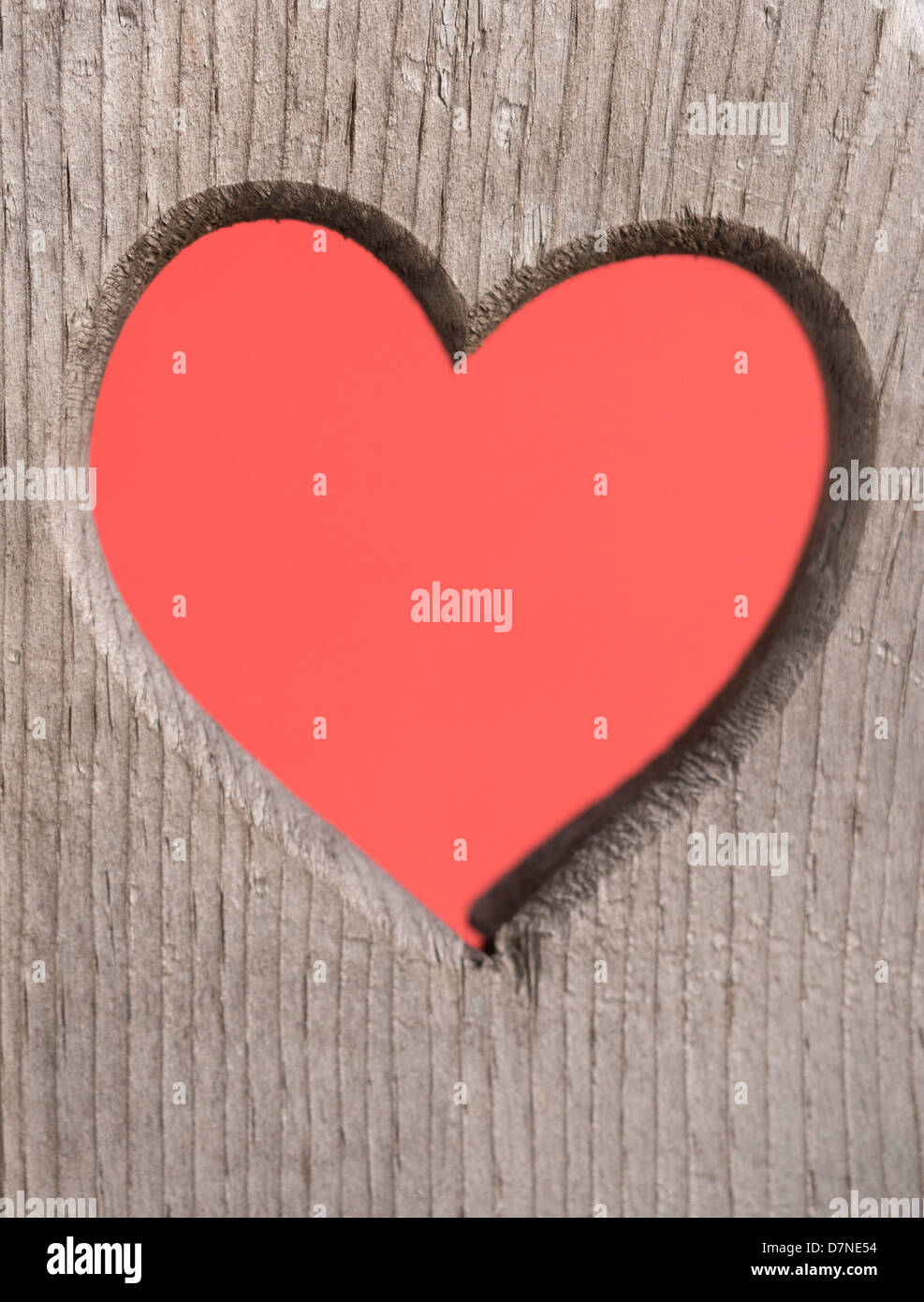 Coeur rouge découpé dans une planche en bois Banque D'Images