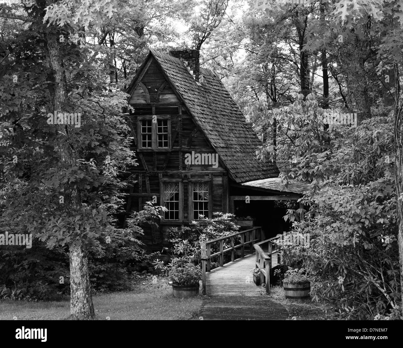 USA, North Carolina, Pisgah National Forest, berceau de la foresterie en Amérique latine (grand format formats disponibles) Banque D'Images