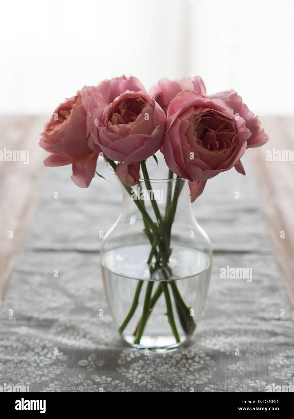 Les Pivoines rose dans un vase Banque D'Images