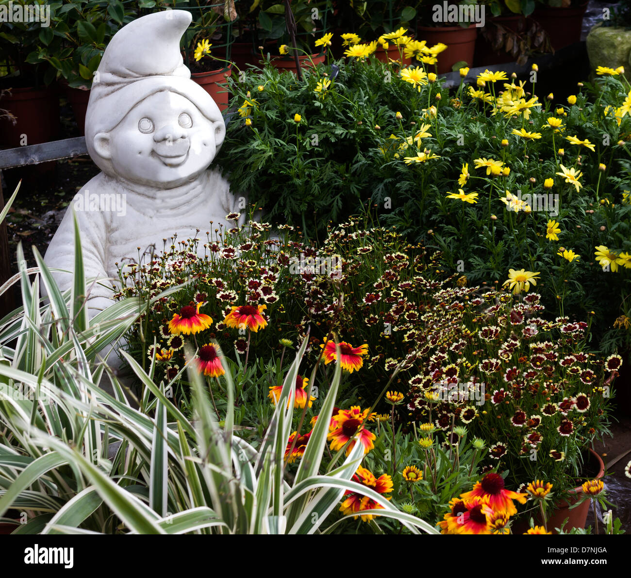 Dwarf et fleurs dans le jardin Banque D'Images
