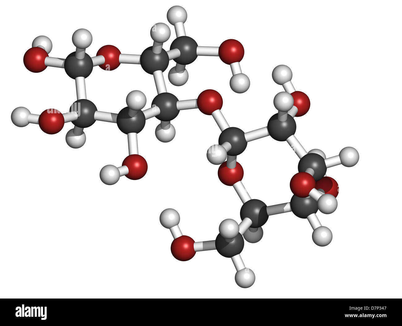 Le maltose (maltobiose, malt, sucre) modèle moléculaire. Les atomes sont représentés comme des sphères avec codage couleur classiques Banque D'Images