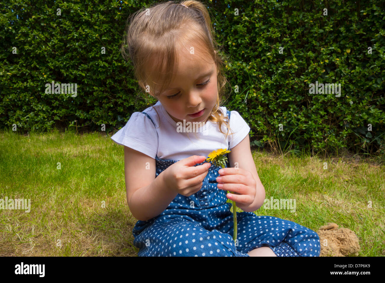 4 ans, assis dans le jardin, cueillir les pétales d'une fleur. Banque D'Images