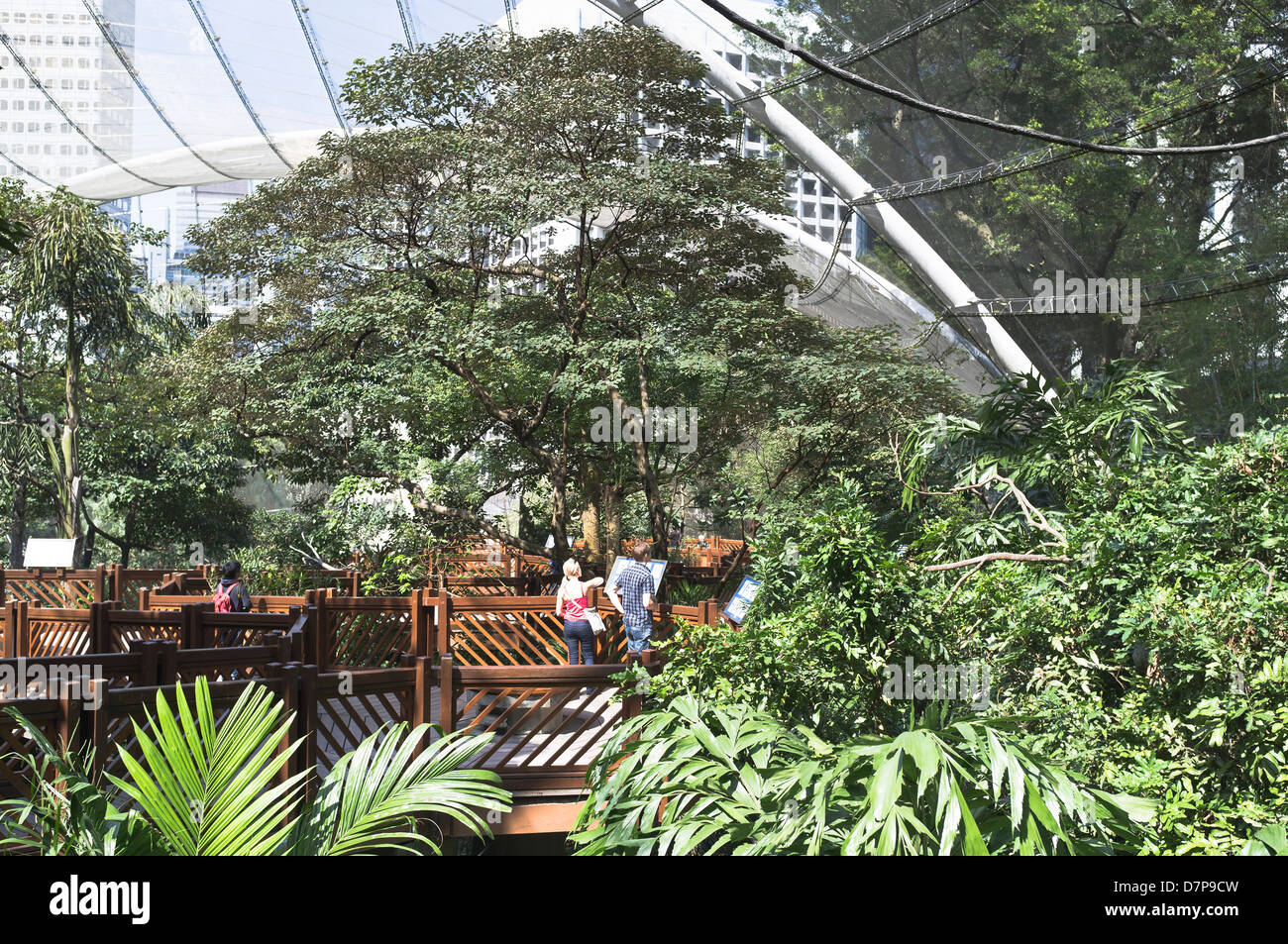 Dh Hong Kong Park CENTRE DE HONG KONG Les touristes à l'intérieur Edward Youde Aviary Banque D'Images