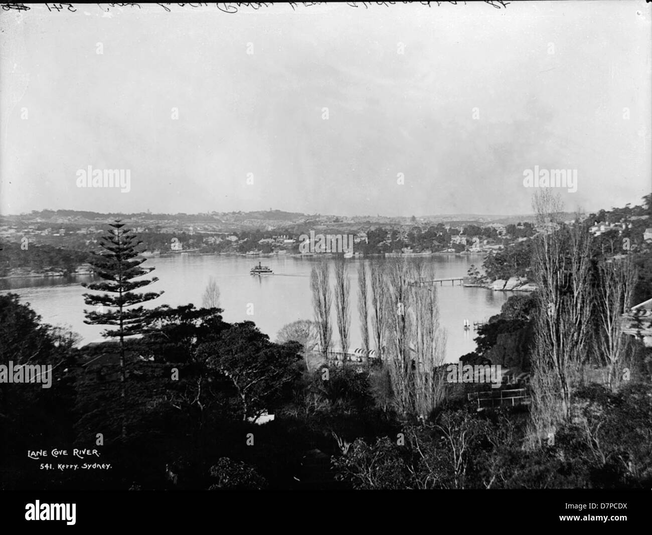 Cette image montre la vue panoramique sur la rivière Lane Cove depuis le Powerhouse Museum, avec des eucalyptus bordant la rive. L'emplacement du musée offre une vue pittoresque sur le paysage naturel de Sydney. Banque D'Images
