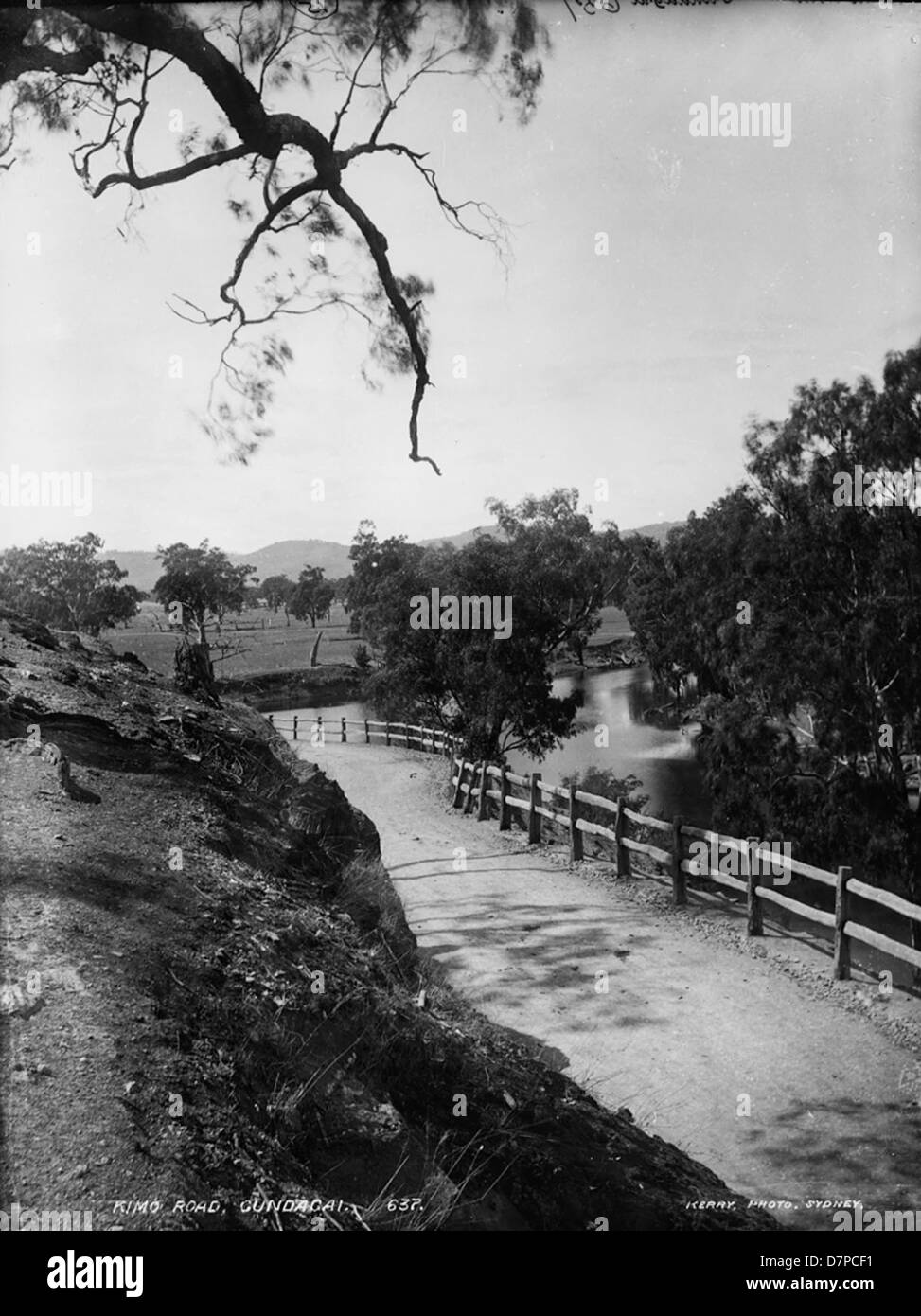 Cette photographie en noir et blanc capture une scène rurale le long de Kimo Road à Gundagai, en Australie. L'image met en valeur le paysage naturel et la vie rurale de la région, soulignant la simplicité et la beauté de la campagne australienne. Banque D'Images