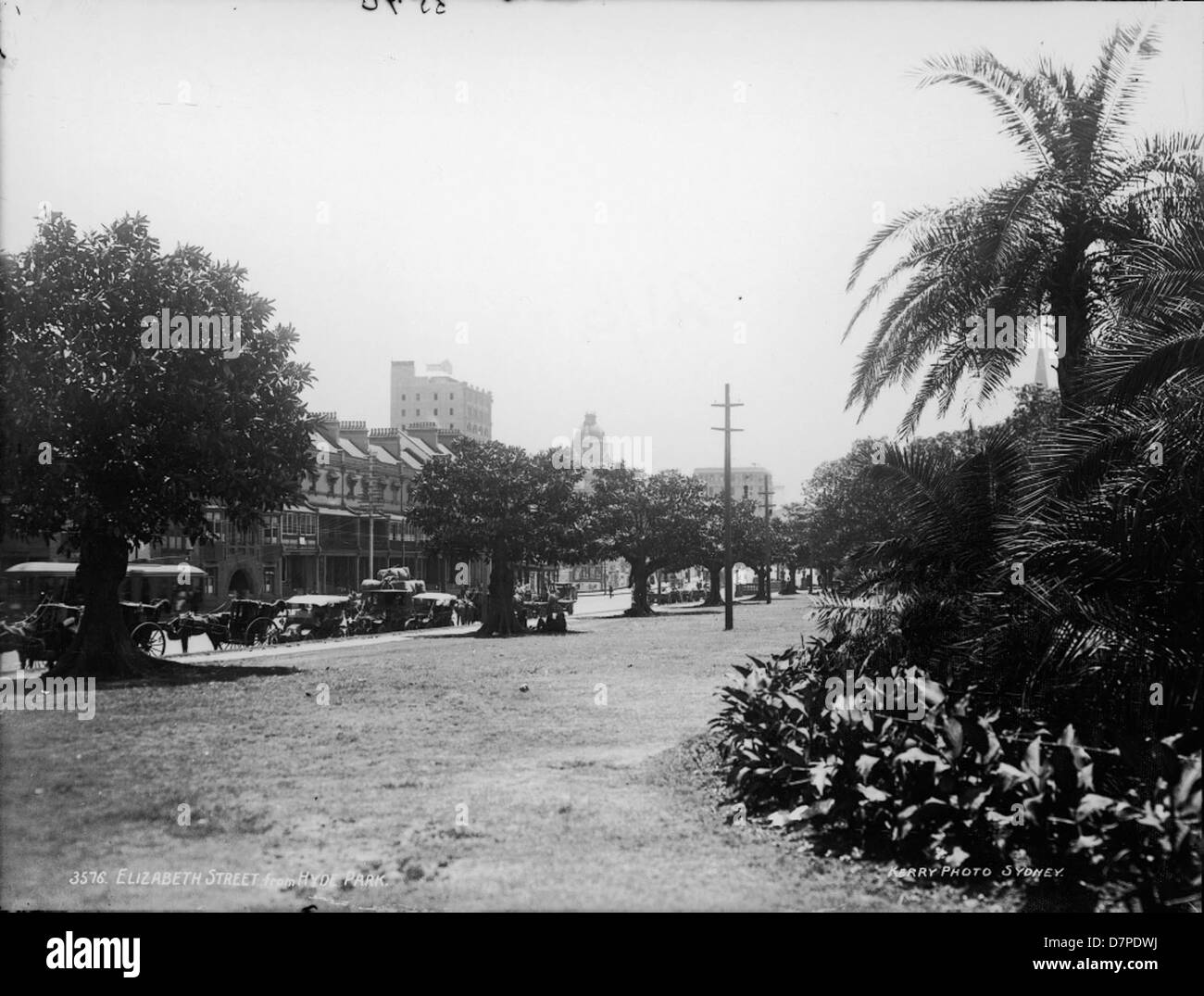Cette photographie historique montre Elizabeth Street depuis Hyde Park à Sydney, capturant des voitures anciennes, des palmiers et les bâtiments environnants. L'image met en valeur le paysage urbain animé de Sydney dans une époque passée. Banque D'Images