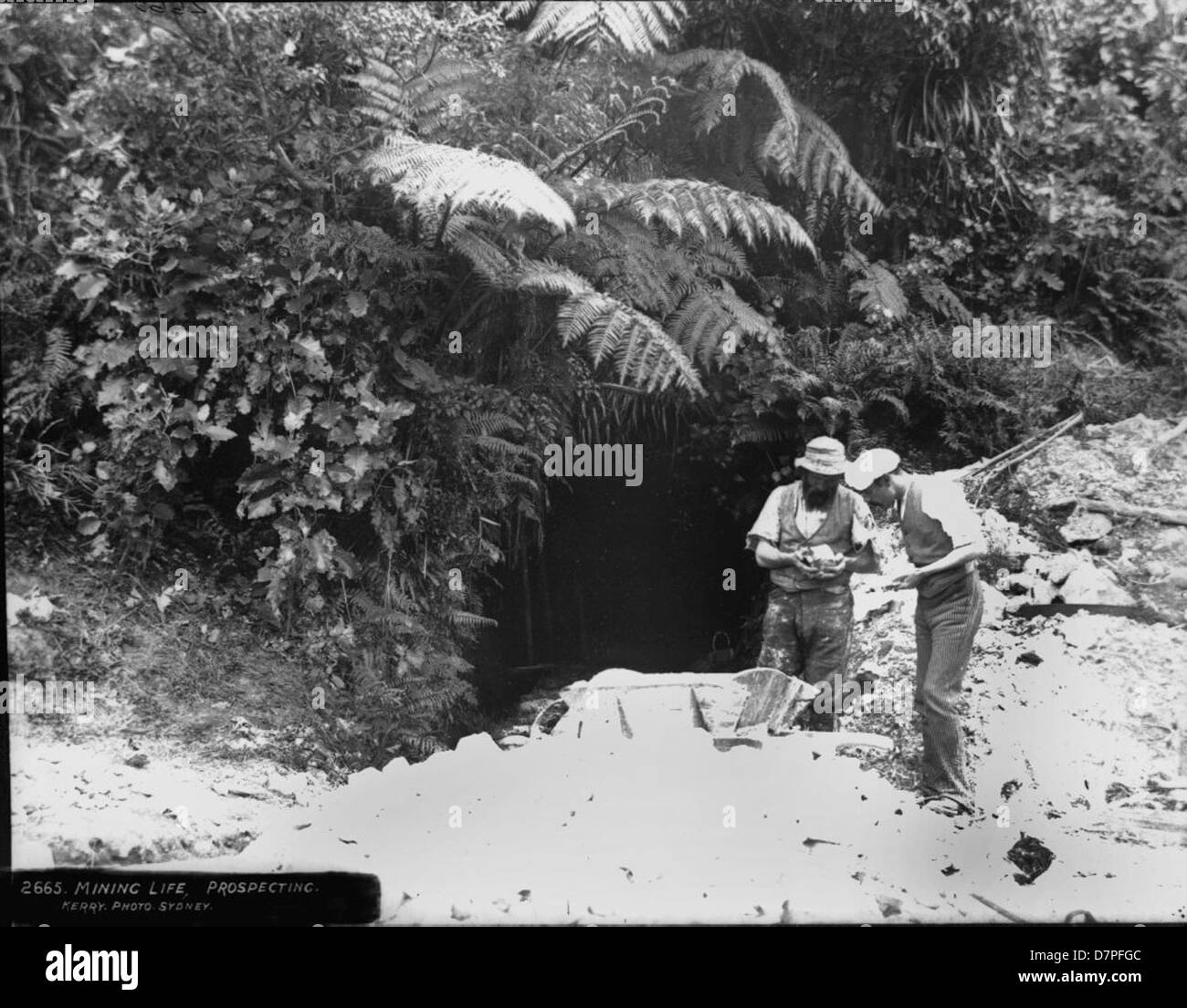 Cette photographie en noir et blanc du Powerhouse Museum capture un groupe de mineurs en quête d'or dans un cadre de jungle. La scène reflète les conditions difficiles et le travail diligent impliqués dans les premières activités minières et de prospection. Banque D'Images
