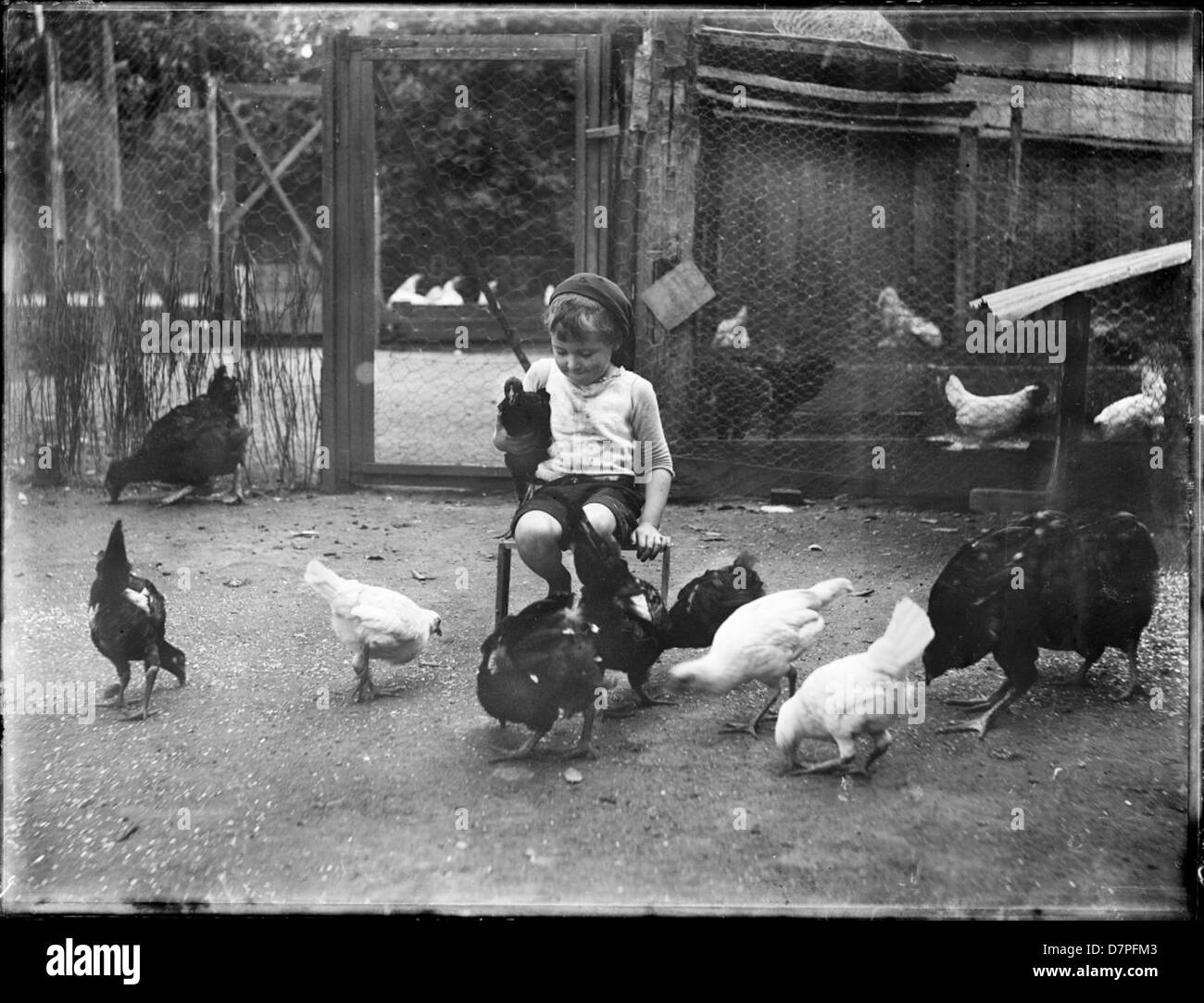 Cette photographie, prise au Powerhouse Museum, capture un petit garçon tenant une poule. L'image en noir et blanc reflète la vie à la ferme, soulignant la relation étroite entre les enfants et les animaux. Banque D'Images