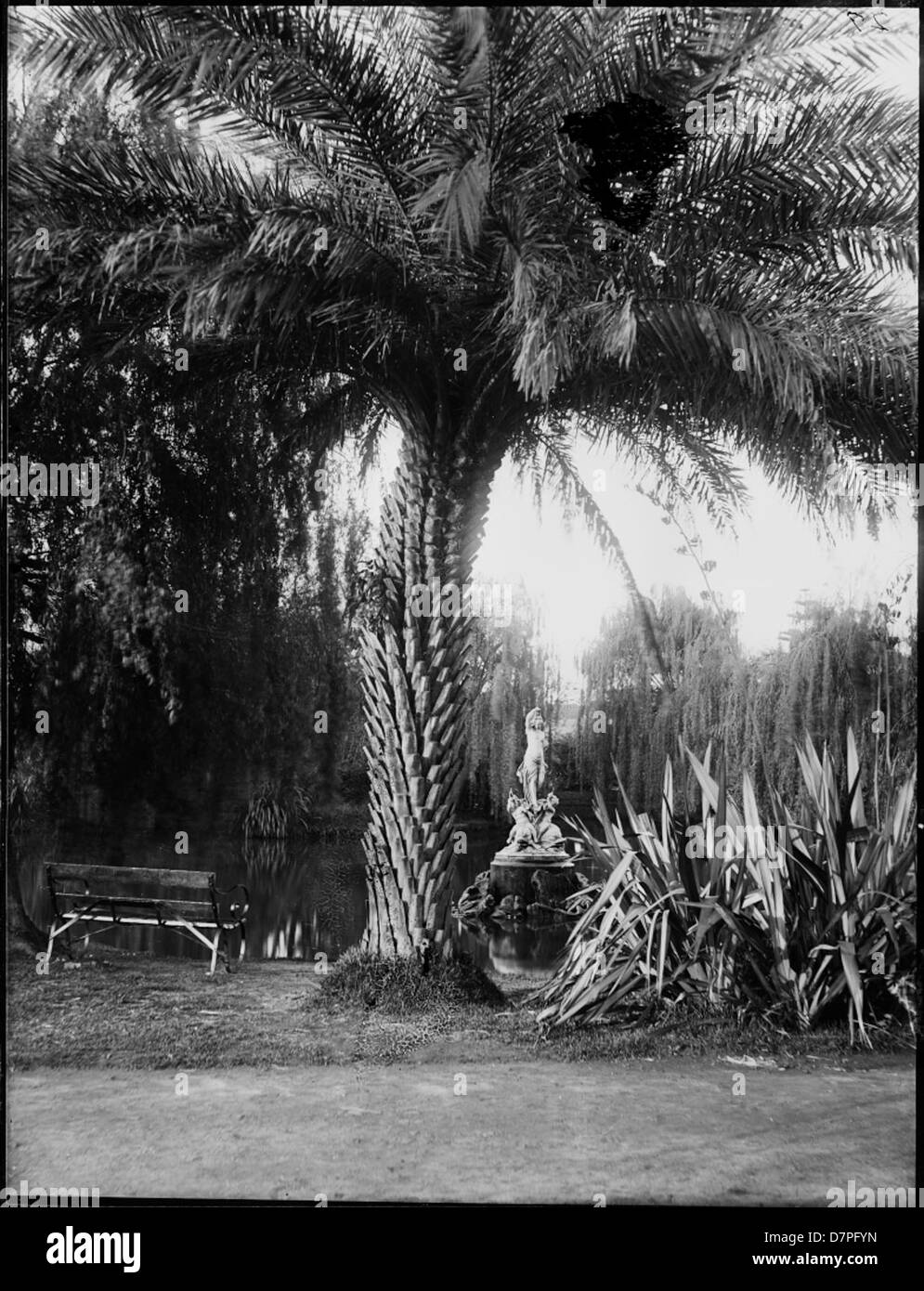 Une scène au jardin botanique du Powerhouse Museum montre une sculpture d'une jeune fille debout, avec une vue du lac et des palmiers en arrière-plan, capturée en noir et blanc. Banque D'Images Une scène au jardin botanique du Powerhouse Museum montre une sculpture d'une jeune fille debout, avec une vue du lac et des palmiers en arrière-plan, capturée en noir et blanc. Banque D'Images