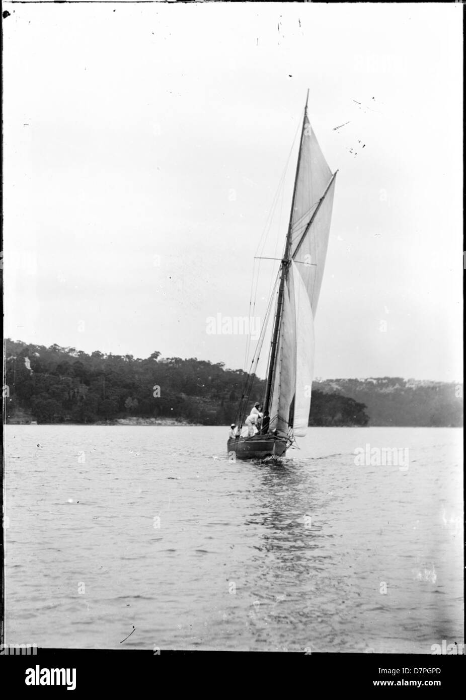 Un yacht navigue sur le port de Sydney, capturé dans un moment dynamique montrant les voiles remplies de vent et la magnifique toile de fond du port. Cette image fait partie de la collection du Powerhouse Museum, mettant en valeur la culture maritime. Banque D'Images