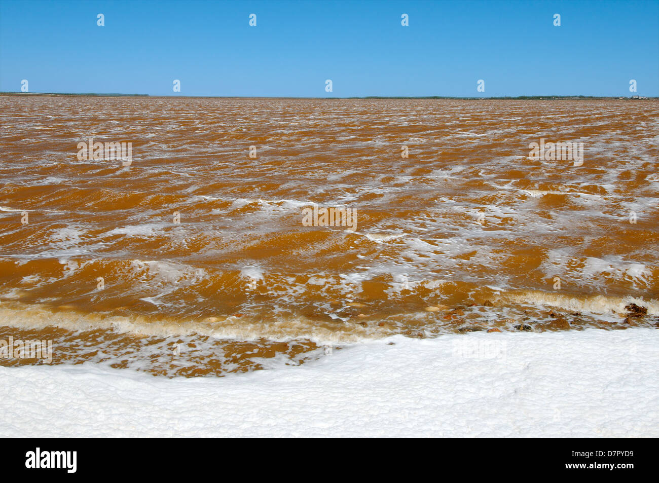 Lake contaminés par des déchets chimiques, Krasnoperekopsk, Crimea, Ukraine, Europe de l'Est Banque D'Images
