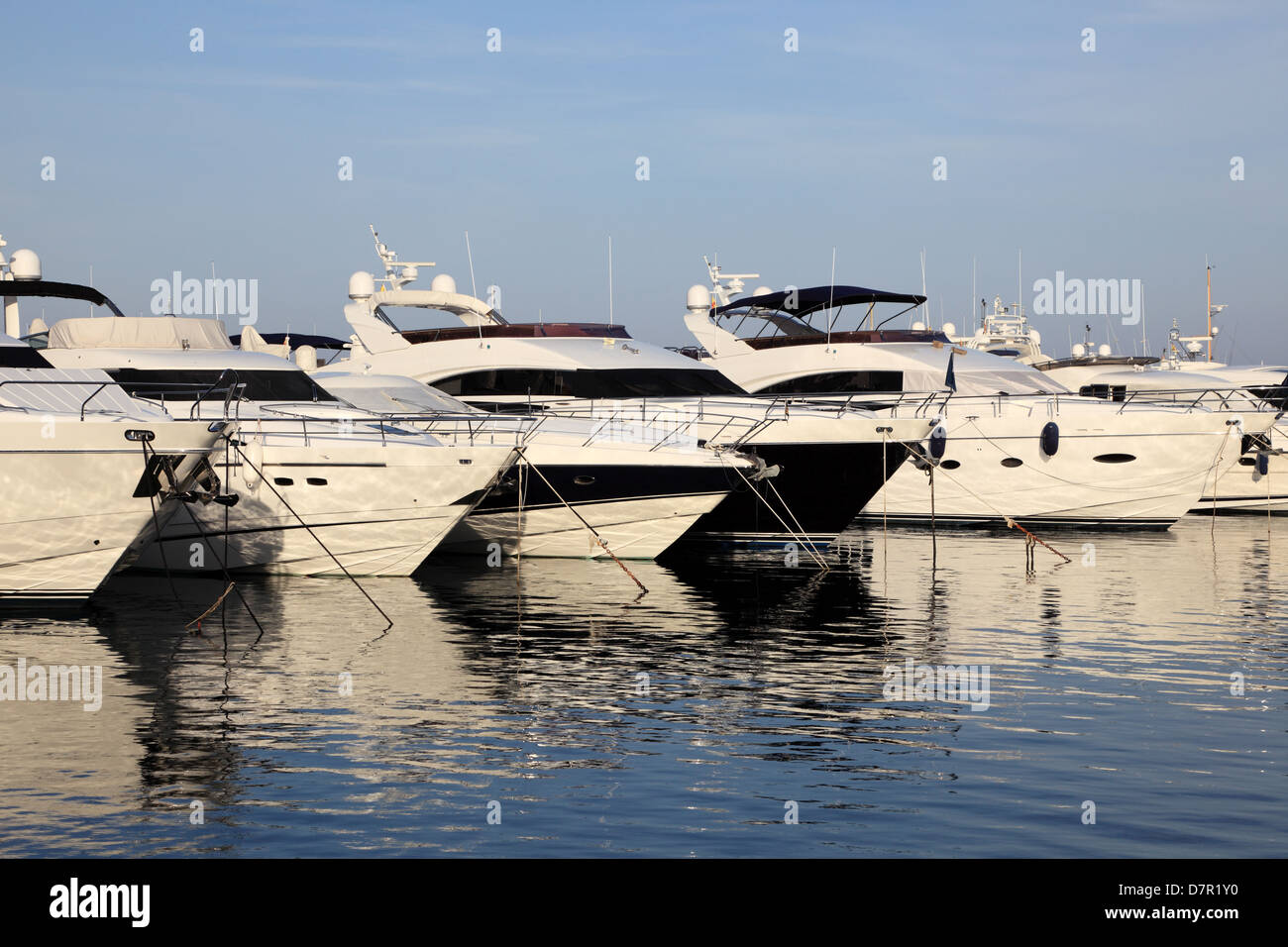 Yachts de luxe dans le port de plaisance de Marbella, Espagne Banque D'Images