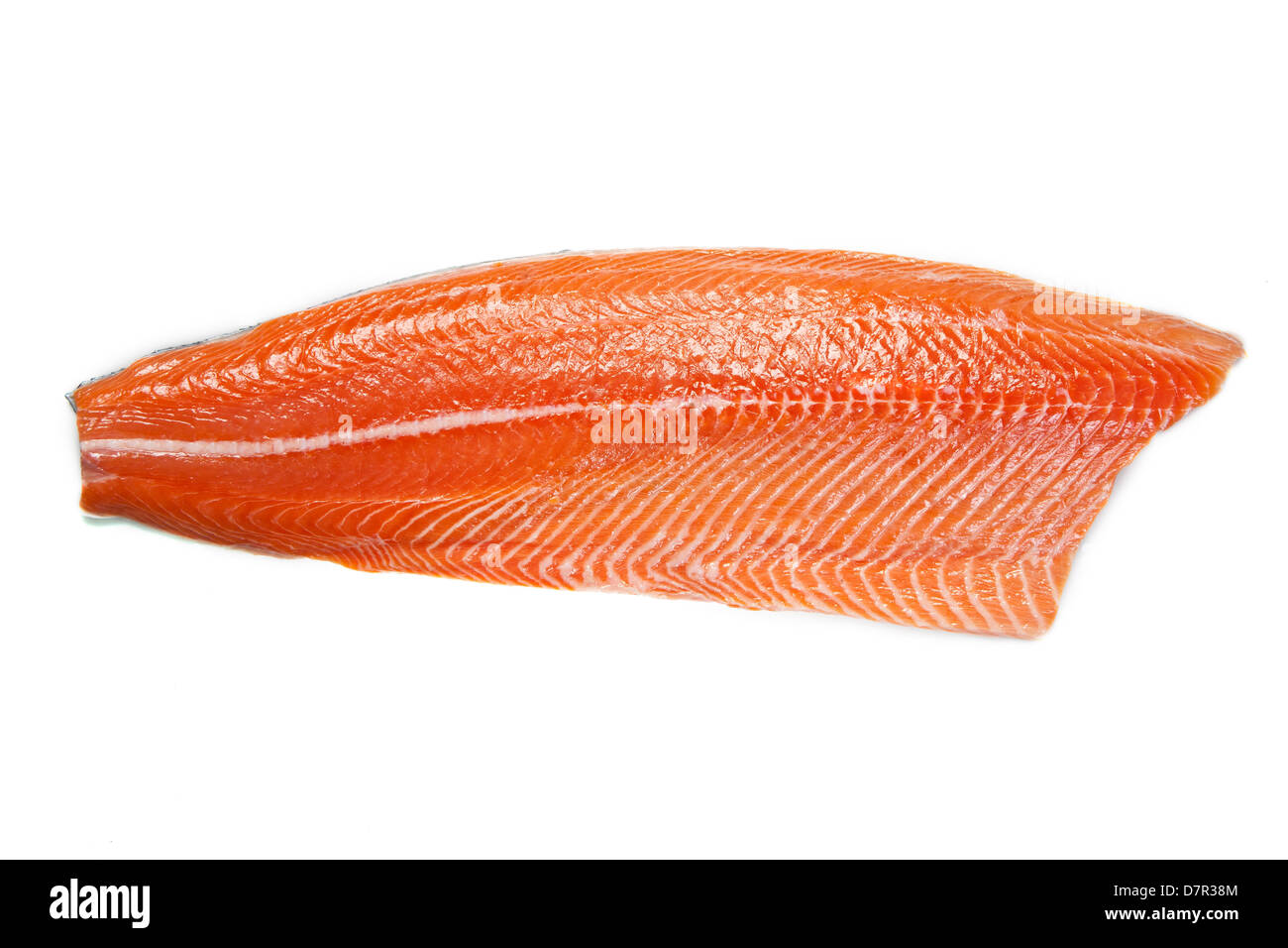 Le saumon. Le Filet de truite fraîche à l'aneth et le persil. Banque D'Images