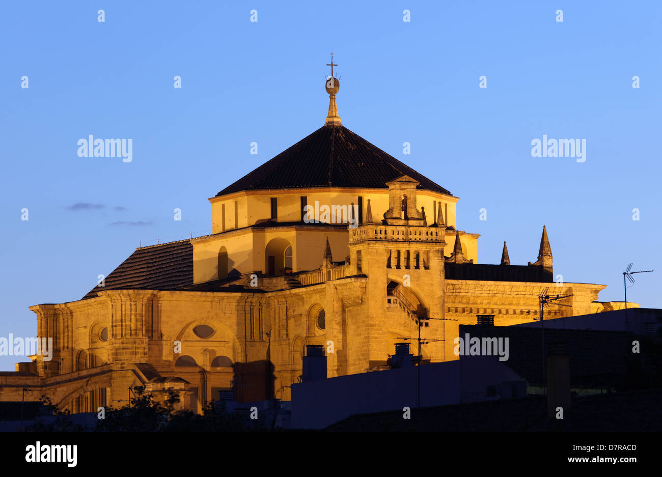 Mosque-Cathedral de Cordoue illuminée la nuit. Andalousie Espagne Banque D'Images