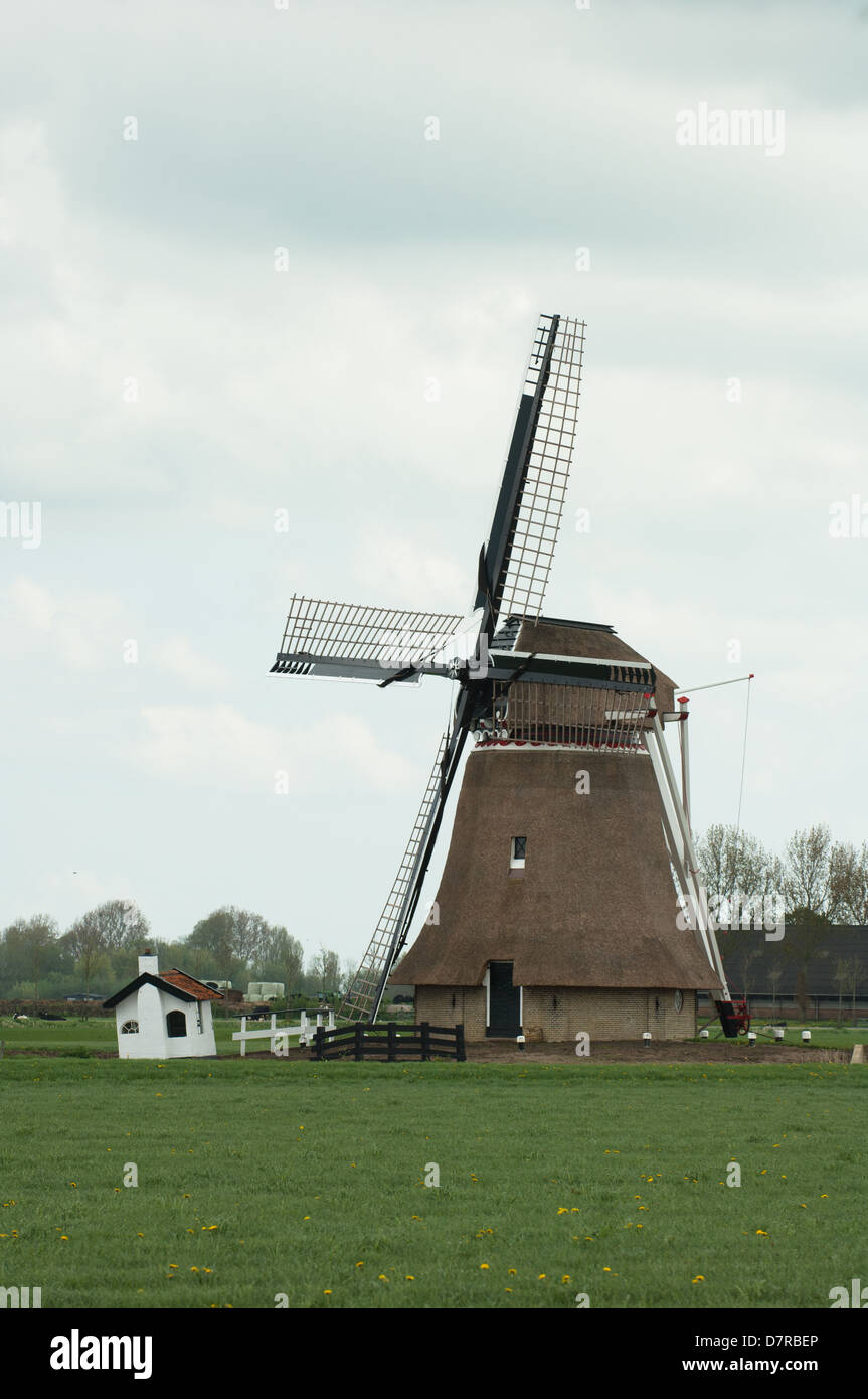 Moulin molen Pays-Bas Nederland Friesland wanswerd Banque D'Images