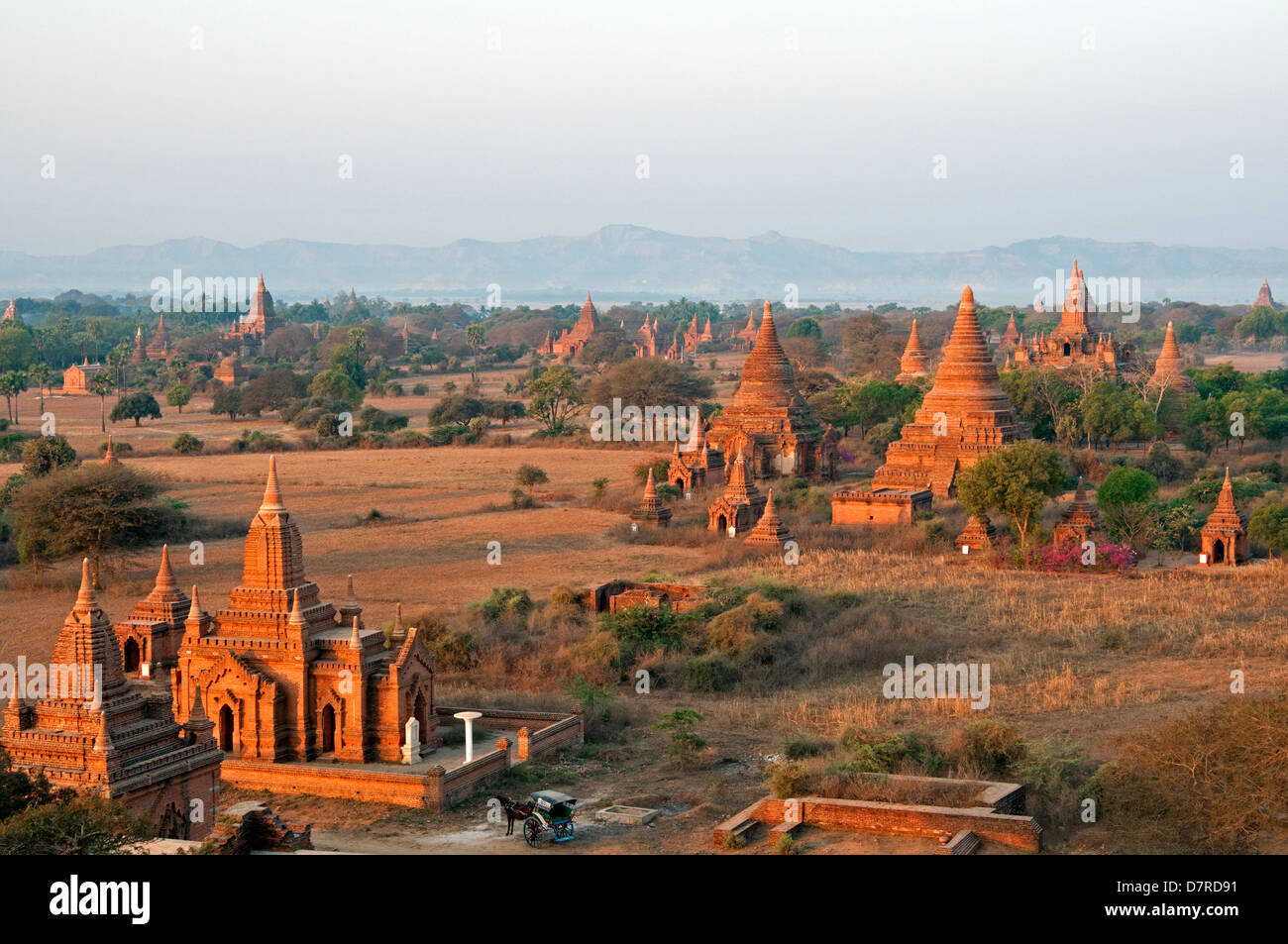 Golden Temple en brique rouge lumineux spires au lever de Bagan Myanmar (Birmanie) Banque D'Images