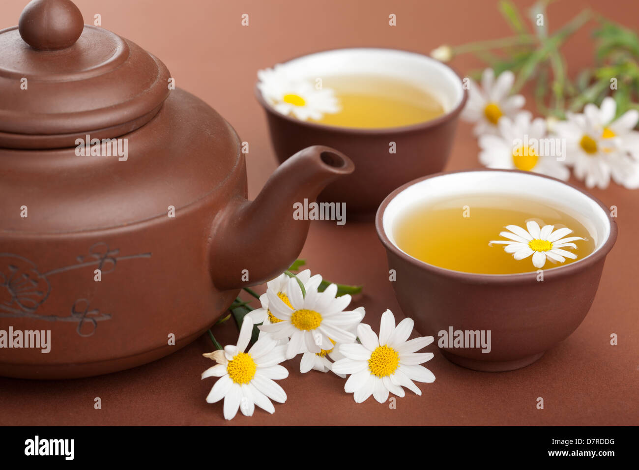 Le thé vert avec des fleurs de camomille Banque D'Images