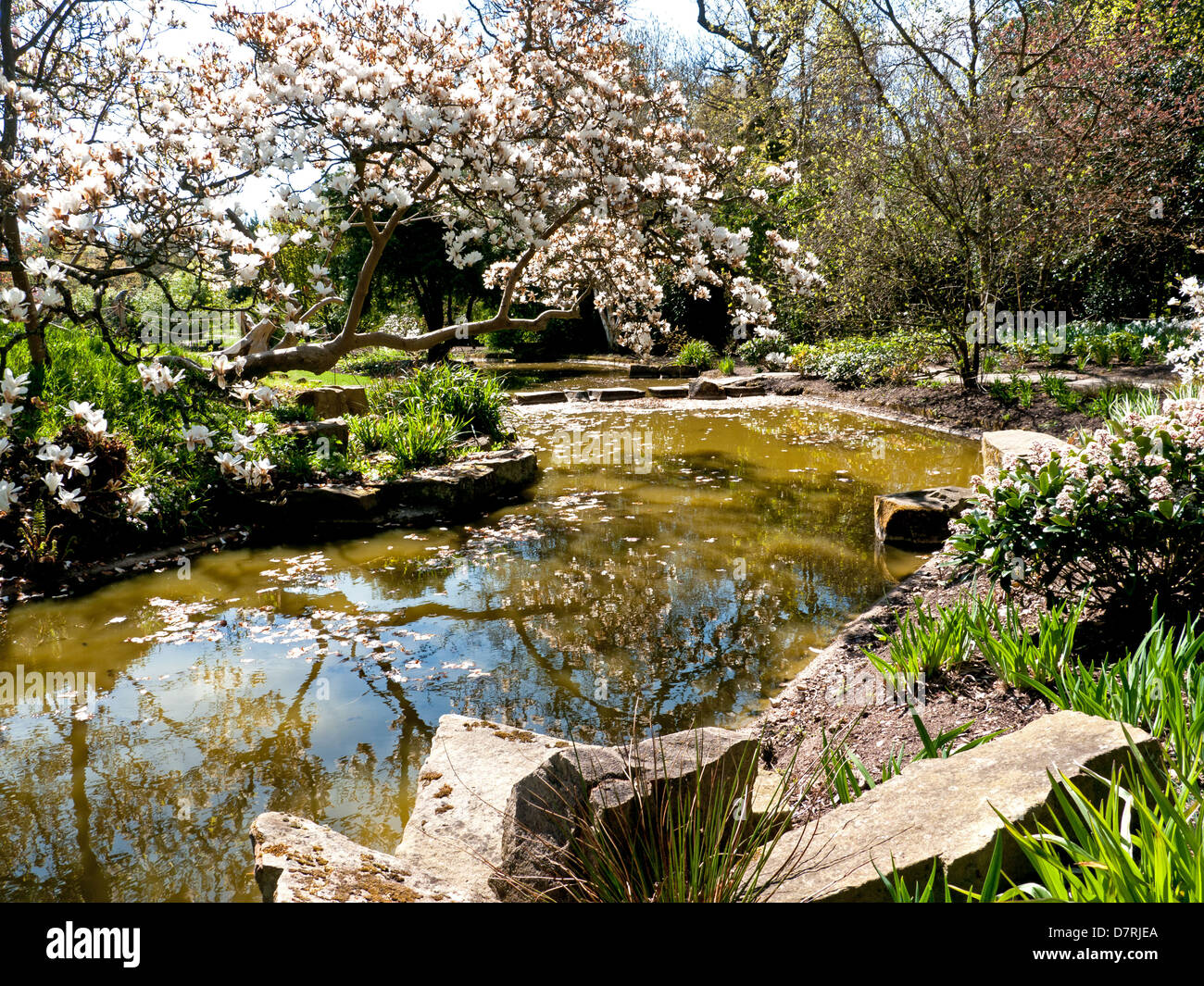 Le jardin d'eau à Cliveden House, une propriété du National Trust dans Bucks, UK Banque D'Images