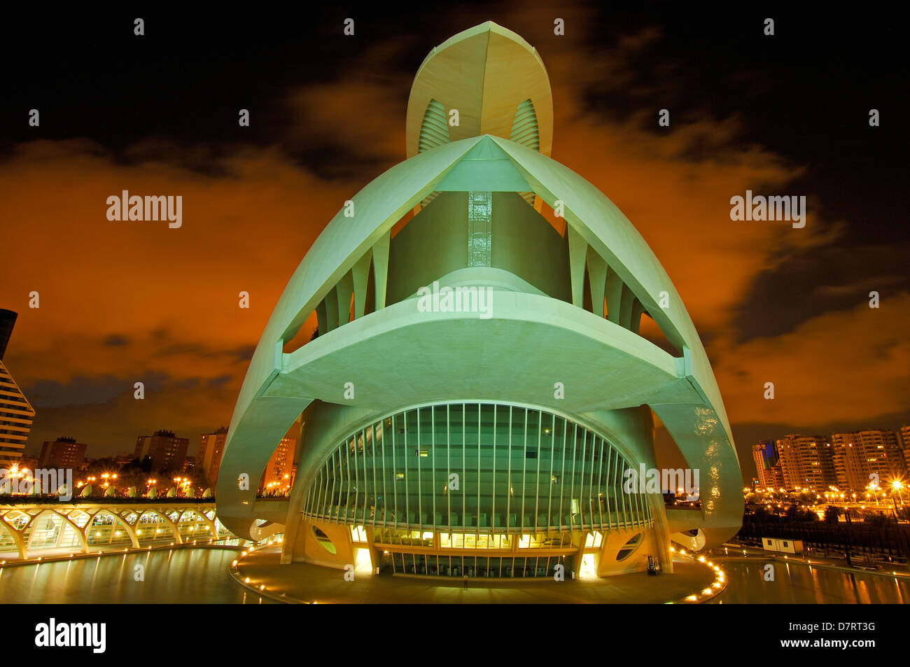 Palais des Arts Reina Sofia, par S. Calatrava. Cité des Arts et des Sciences. Rhône Alpes, Valence. Espagne Banque D'Images