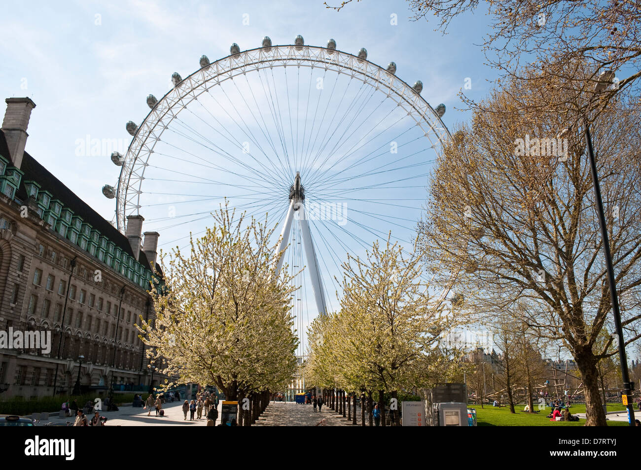 London Eye avec fleur de printemps, London, UK Banque D'Images