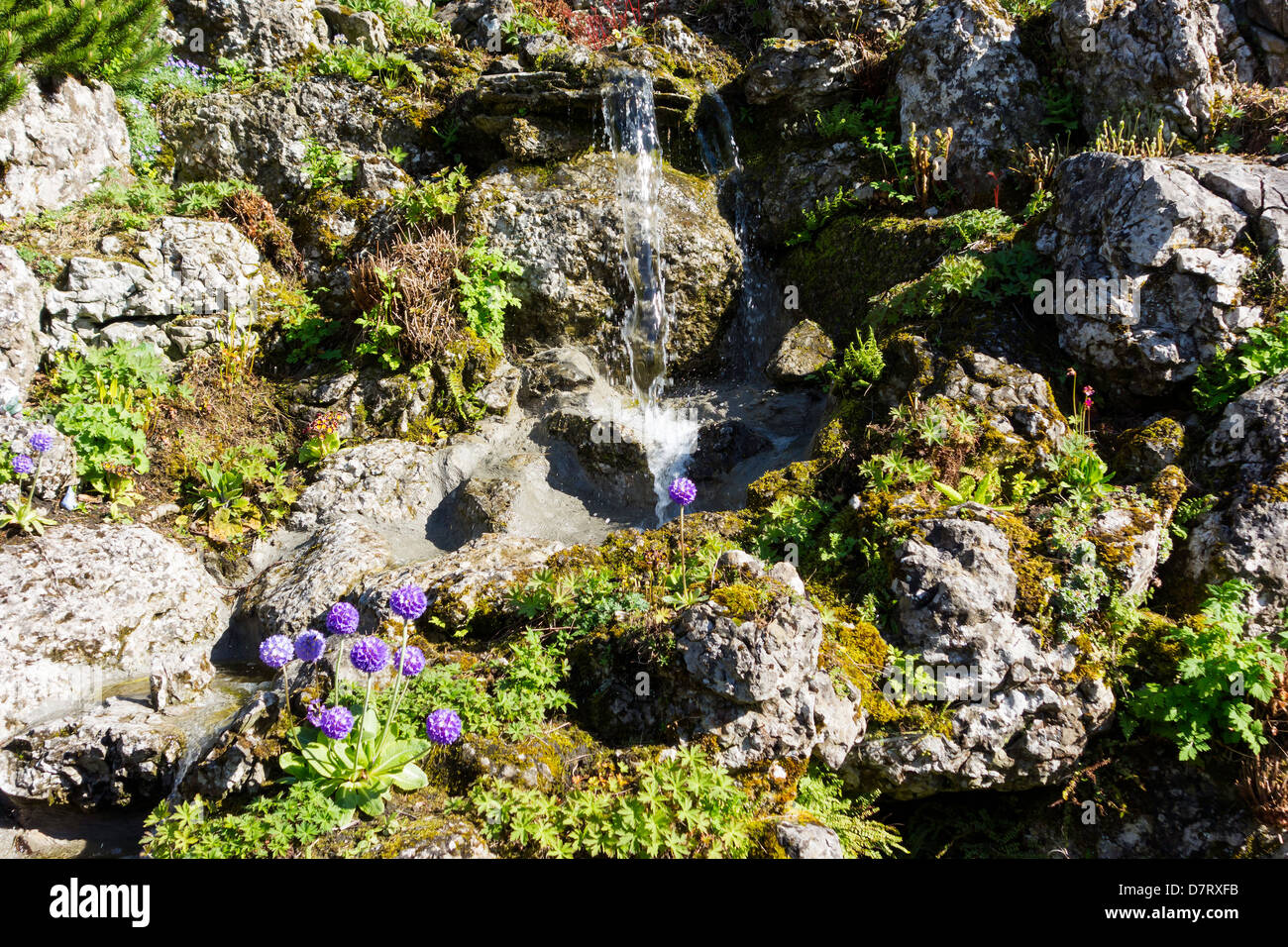 Aysgarth Rock Garden a commencé par propriétaire terrien local Frank en 1906 Sayer-Graham Banque D'Images