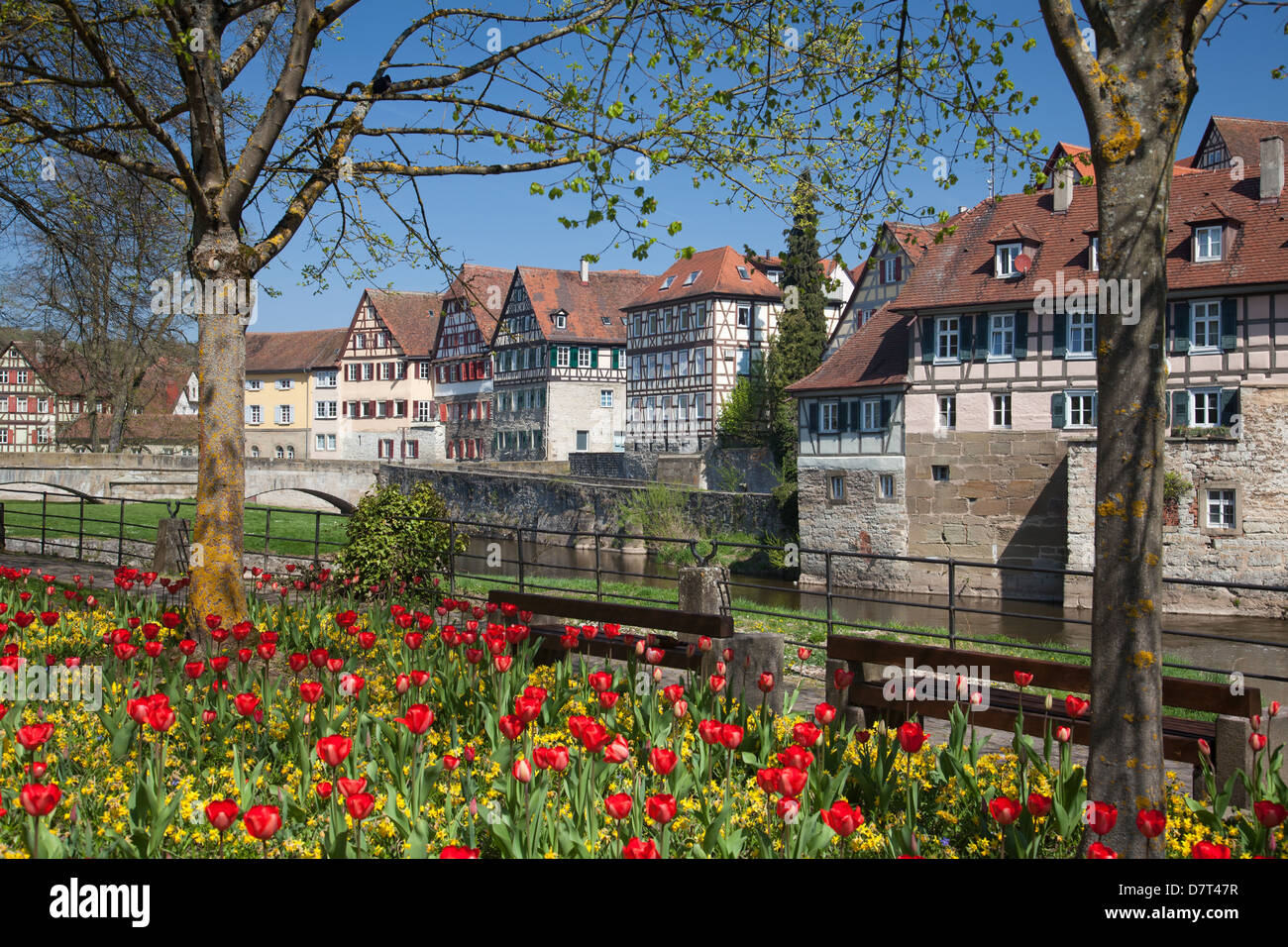 La cité médiévale de la ville allemande de Schwaebisch Hall avec une couche de fleurs en premier plan Banque D'Images