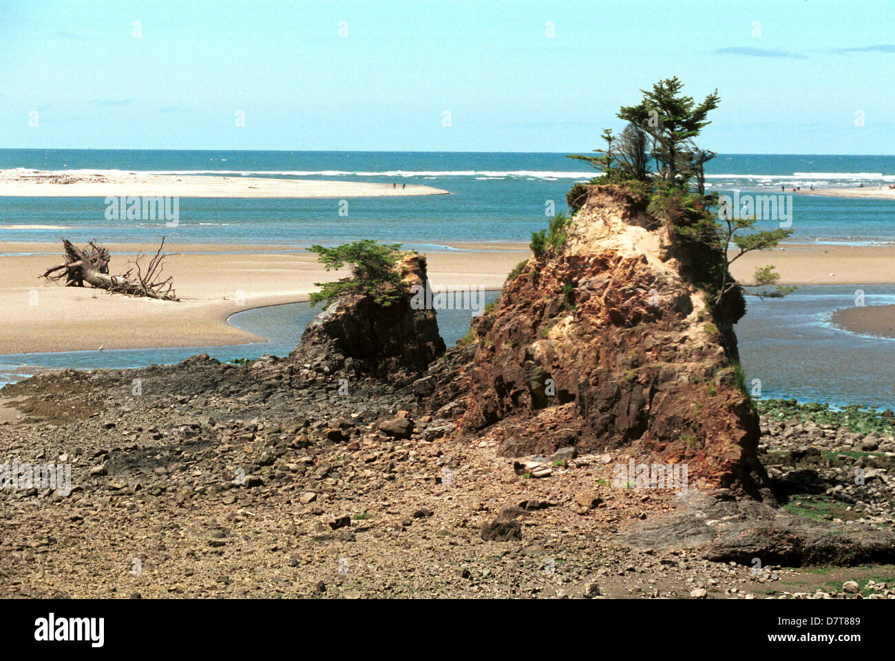 Les roches du littoral de l'océan Pacifique robuste et surfez Taft de l'Oregon, la côte nord-ouest du Pacifique, côte, plage, côte sauvage,côte de l'Oregon, Banque D'Images
