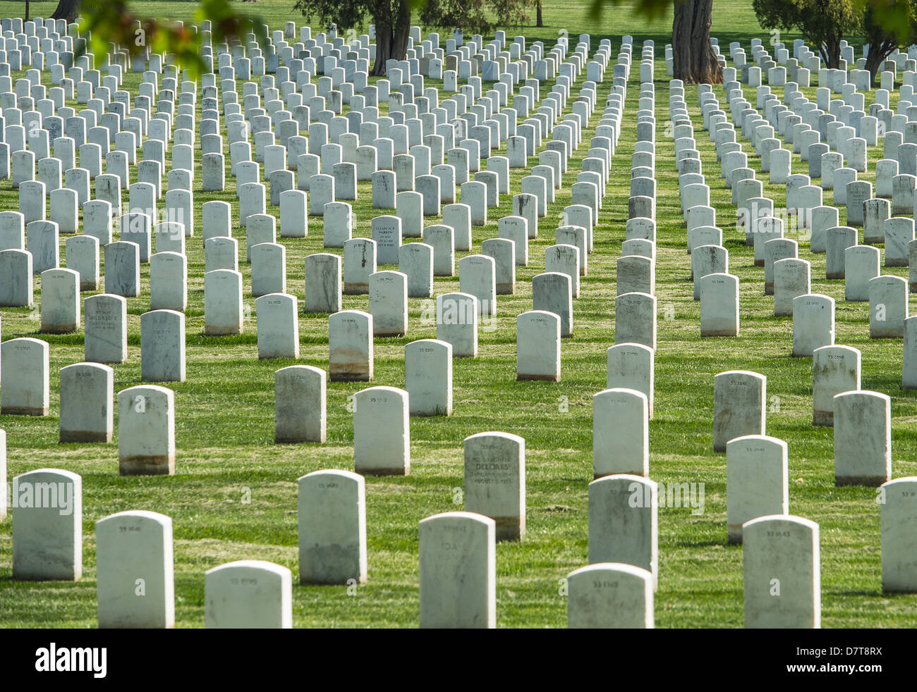 Le cimetière d'Arlington, Virginie, États-Unis Banque D'Images