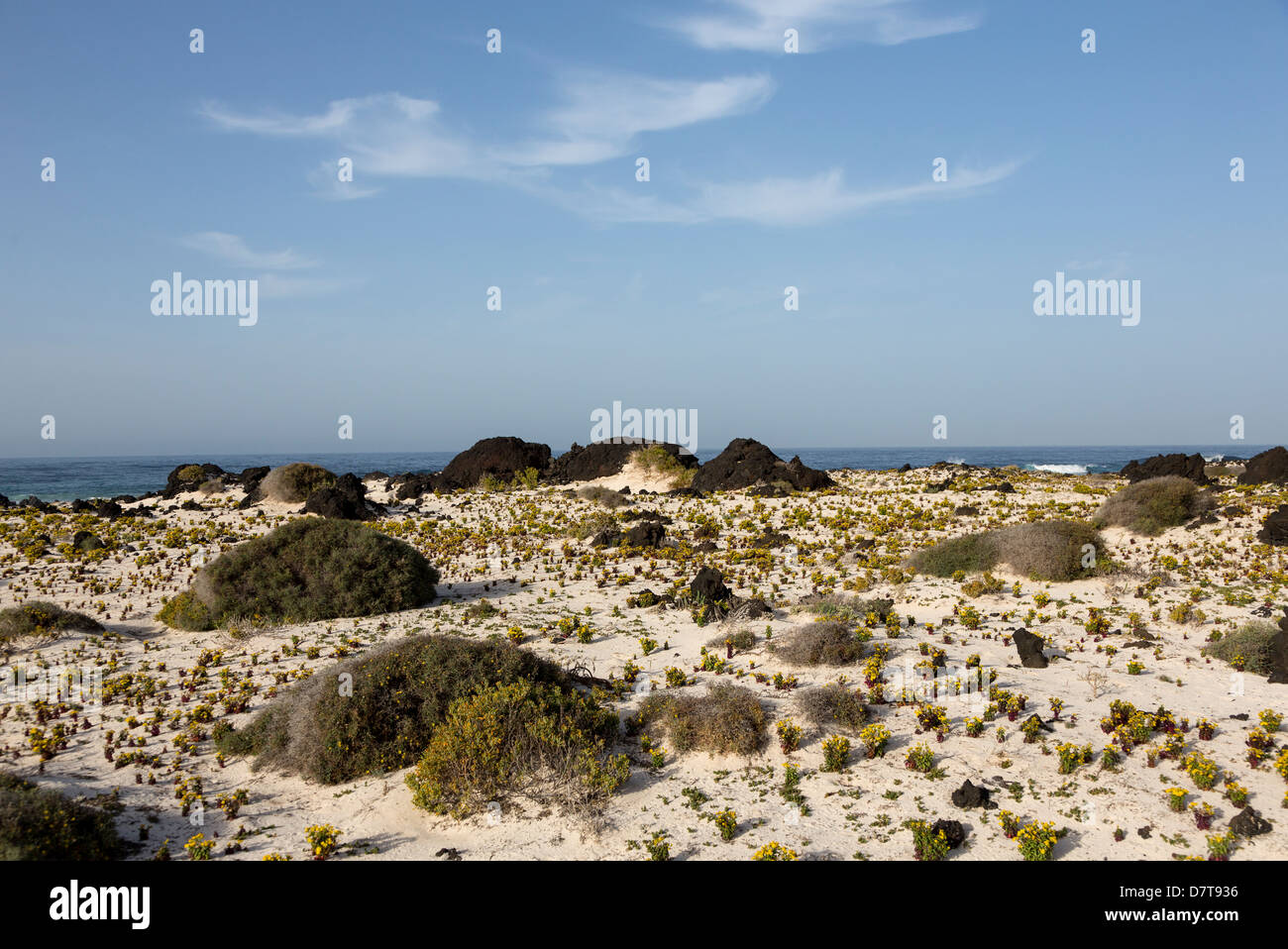 Sable blanc et de roches de lave noire à Caleton Blanco plage, Lanzarote, îles Canaries, Espagne Banque D'Images