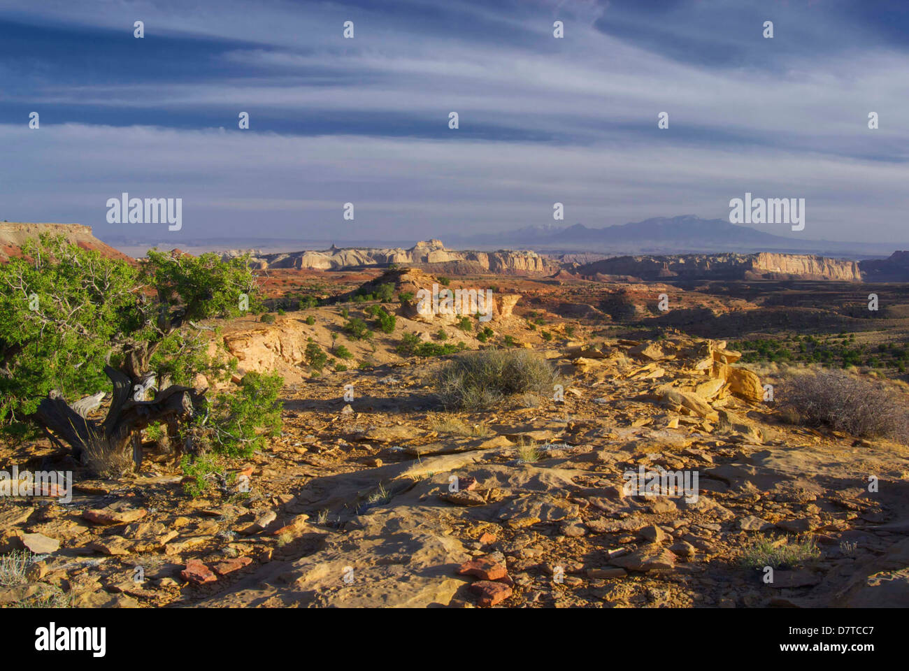 Paysage désertique, San Rafael de corail, de l'Utah Banque D'Images