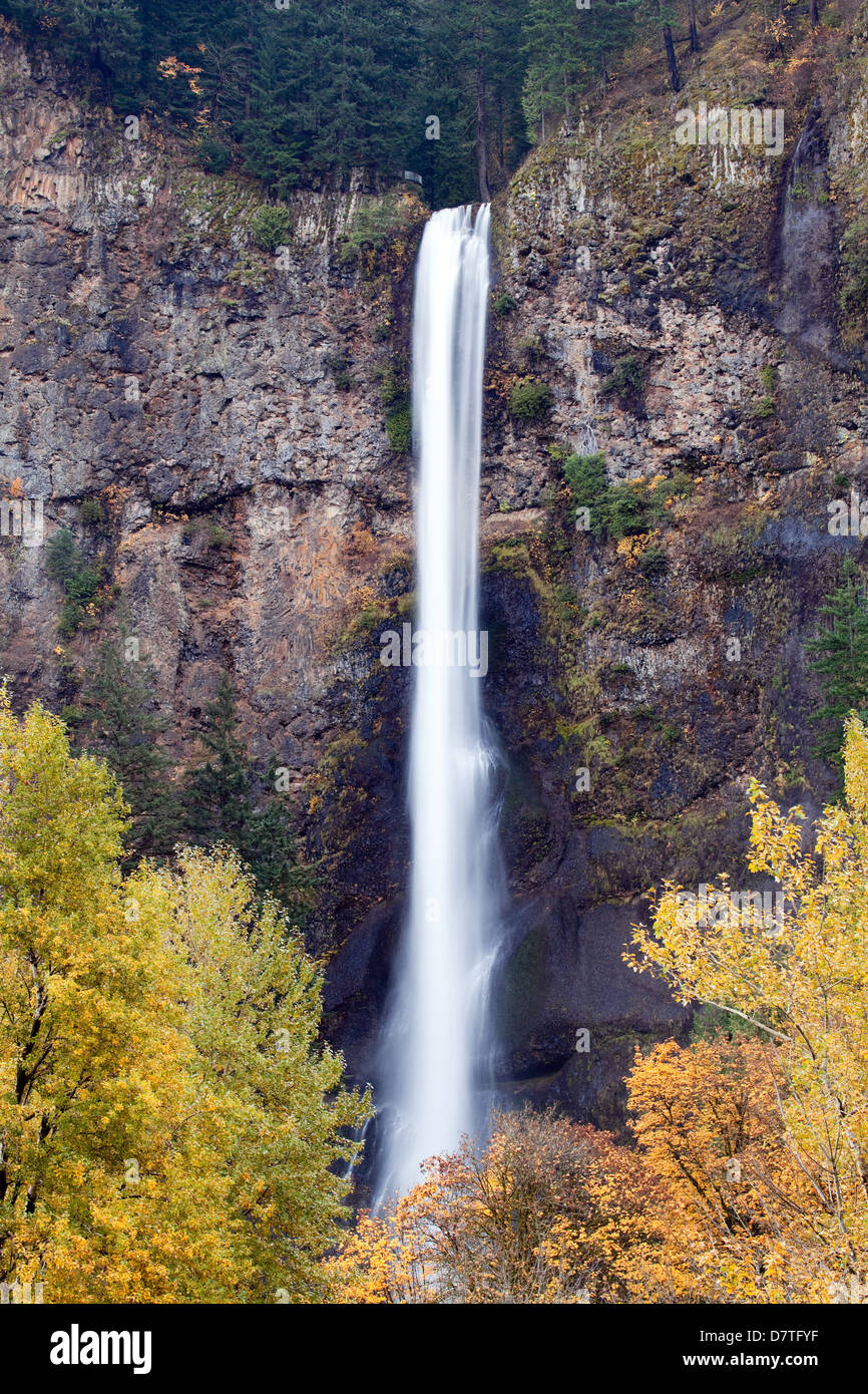 Multnomah falls cascade - près de Portland, Oregon. Deuxième plus haute chute d'eau toute l'année aux États-Unis. Banque D'Images