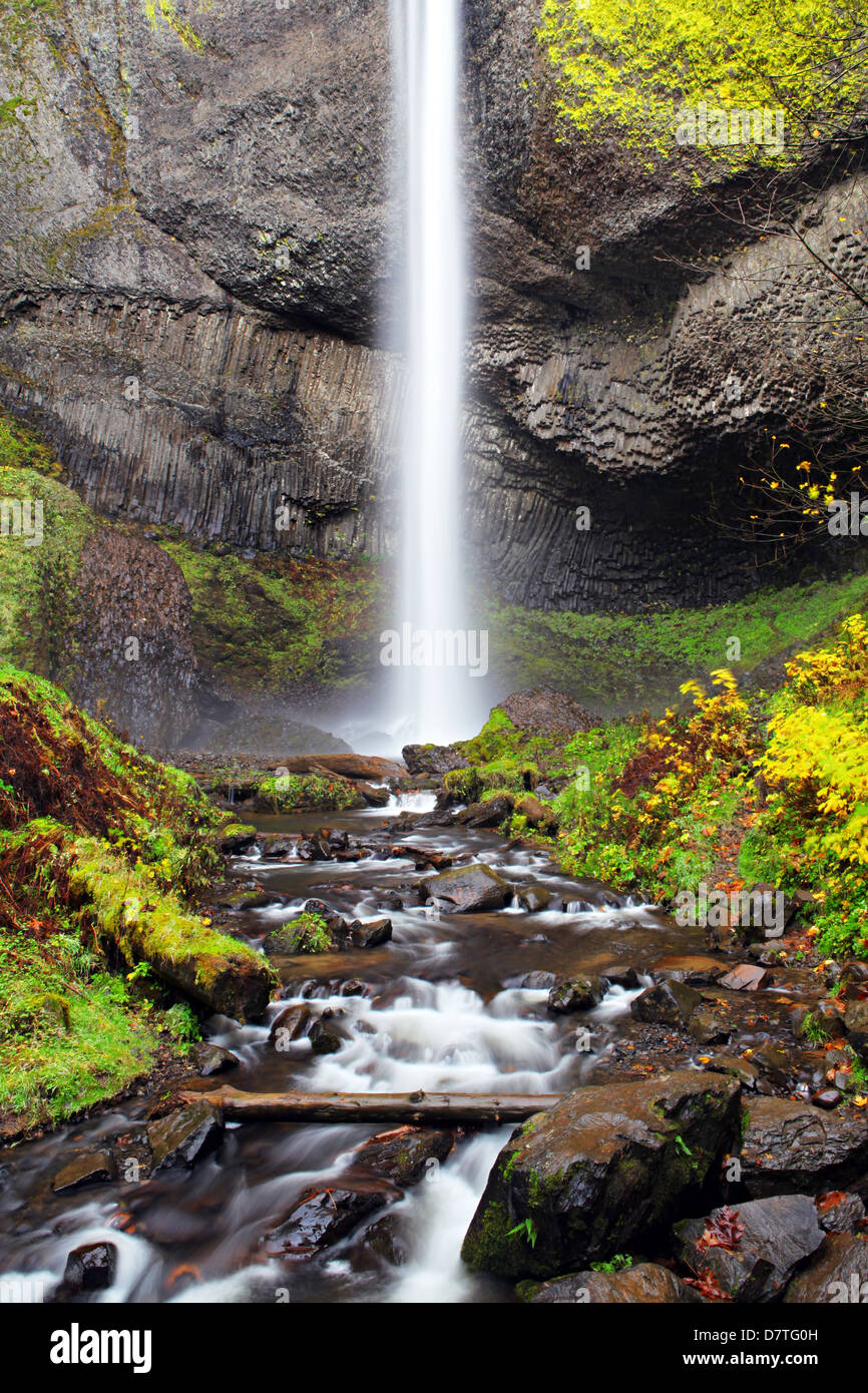 Cascade en automne - Latourelle Falls près de Portland, Oregon Banque D'Images
