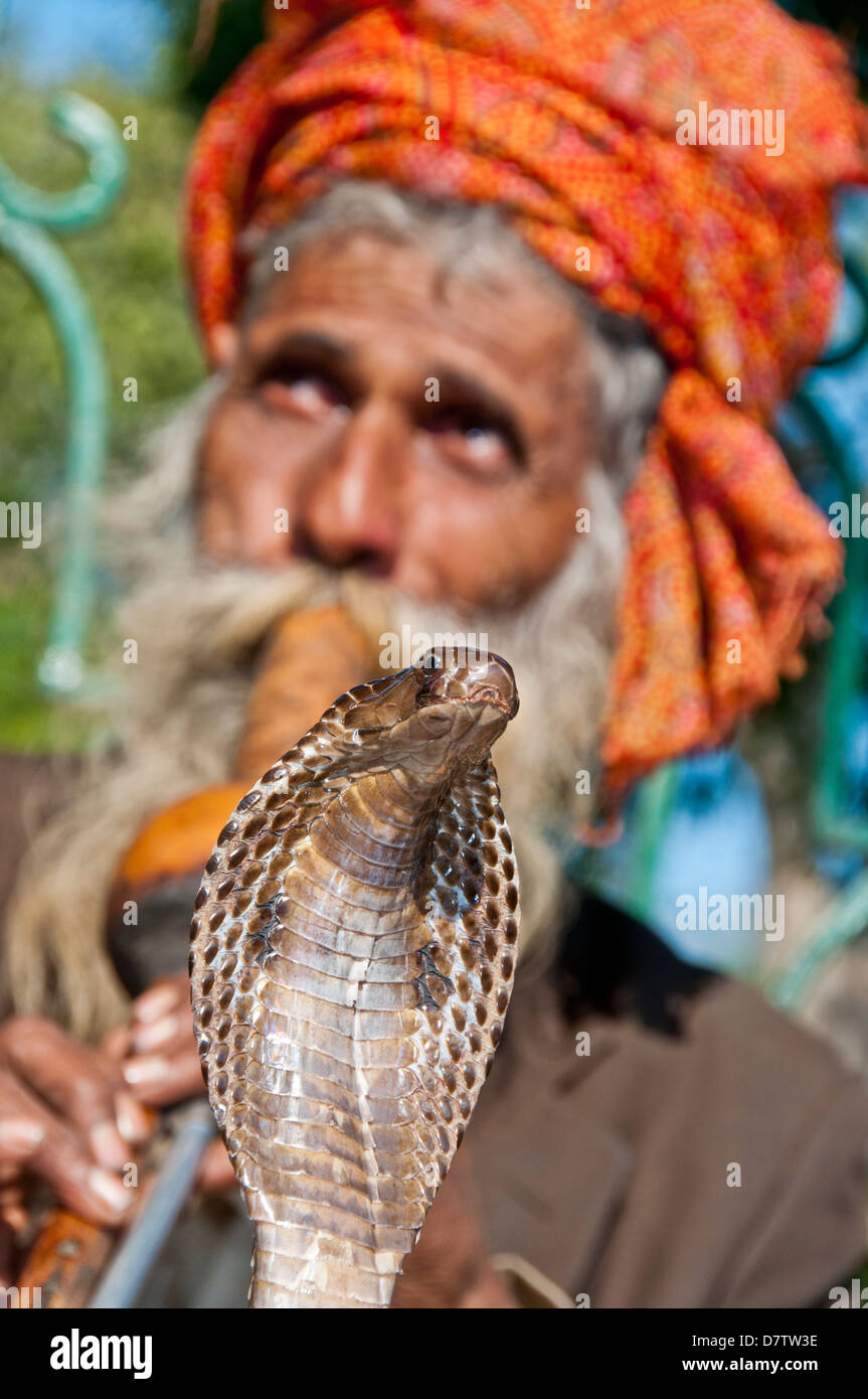 Charmeur de serpent à Delhi Inde Banque D'Images