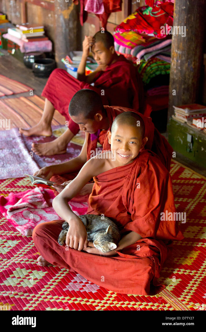 Le moine bouddhiste jouant avec un chat à Shwe Yaunghwe Kyaung, un célèbre monastère en teck, Nyaungshwe, lac Inle, l'État Shan, en Birmanie Banque D'Images