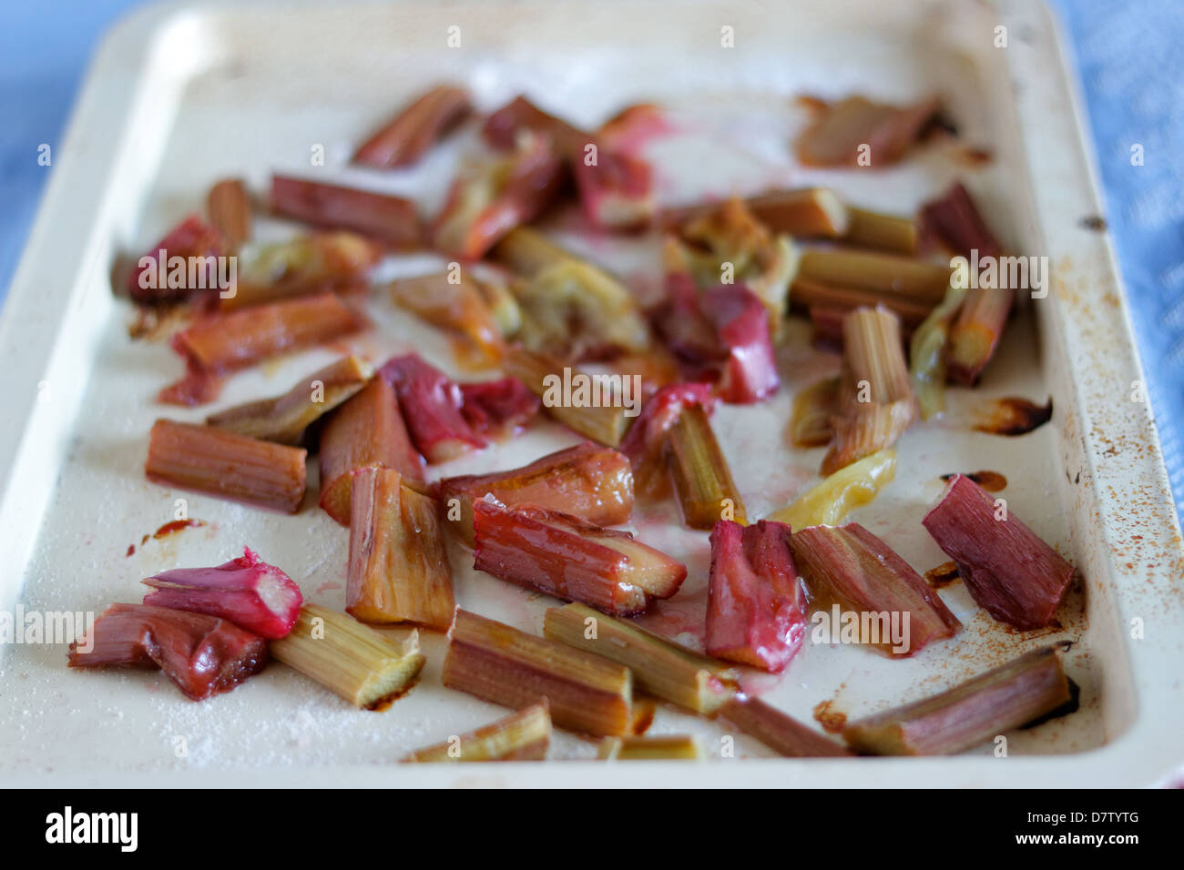 La rhubarbe au four de cuisson Banque D'Images