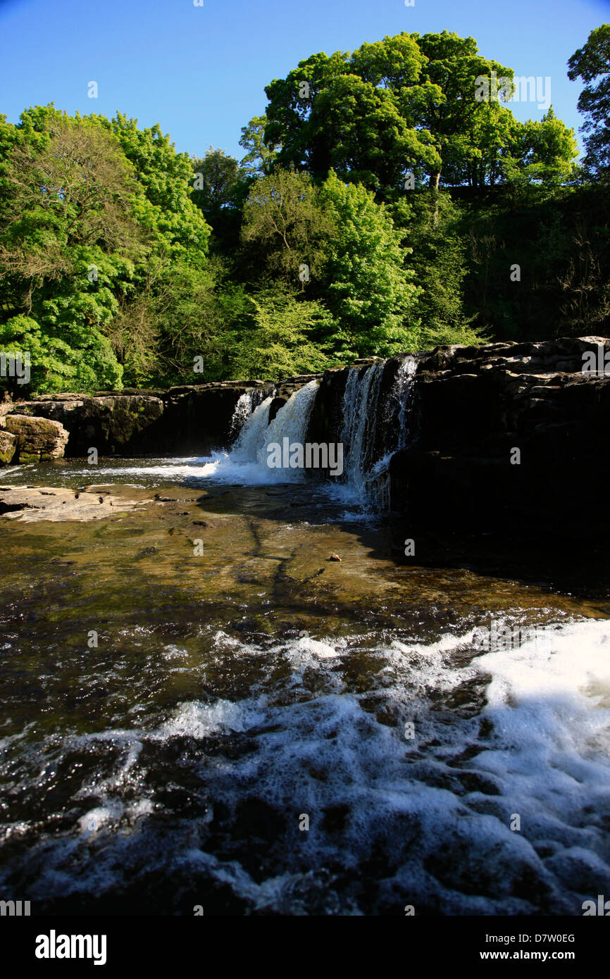 Aysgarth Falls, North Yorkshire, Yorkshire, Angleterre, Royaume-Uni Banque D'Images