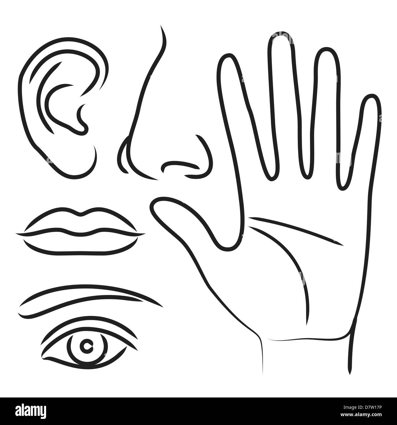 Les organes sensoriels de l'oreille, la main, le nez, la bouche et les yeux Banque D'Images