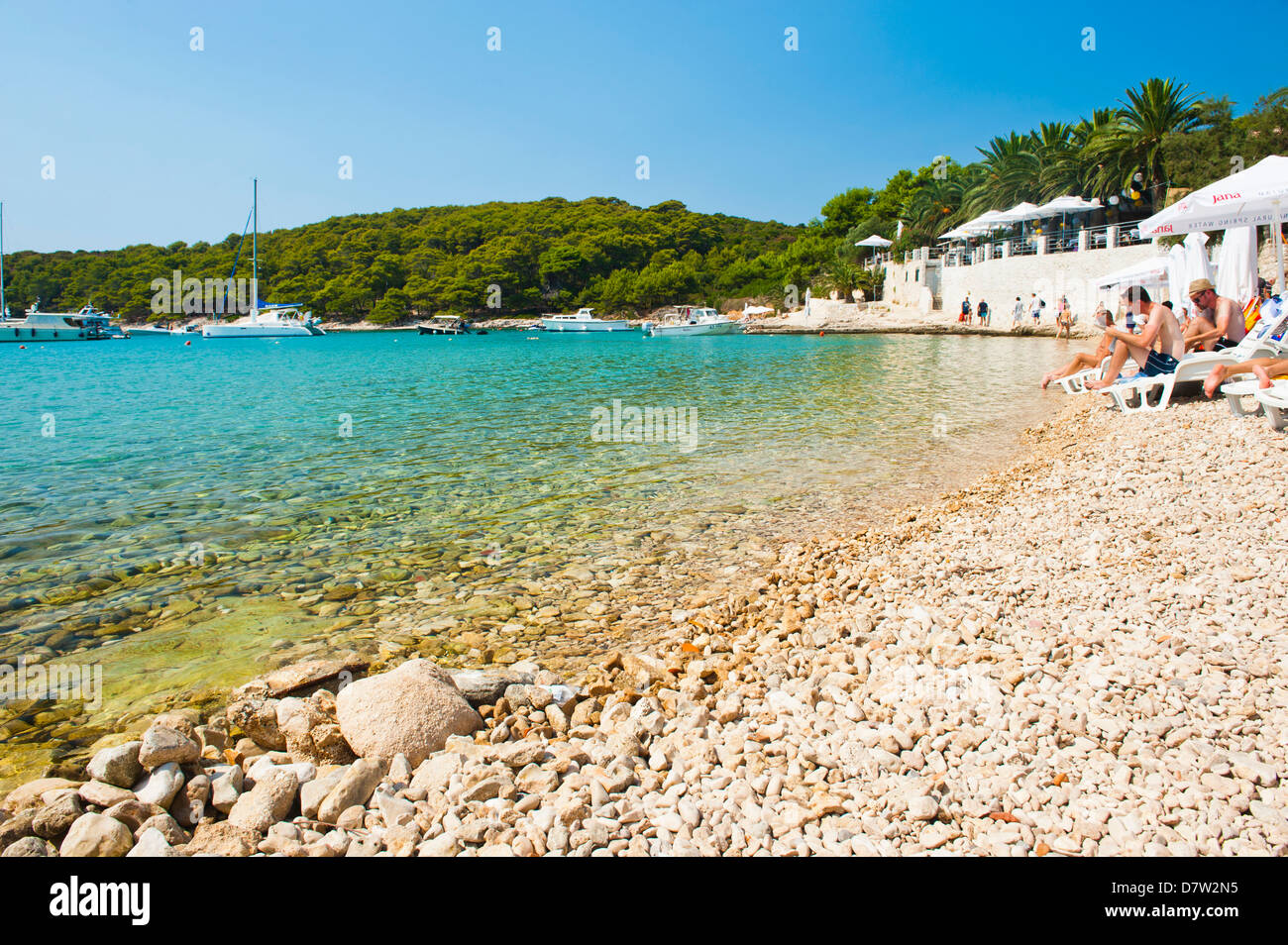 Plage, les îles Pakleni (Îles Paklinski), de la côte dalmate, Mer Adriatique, Croatie Banque D'Images