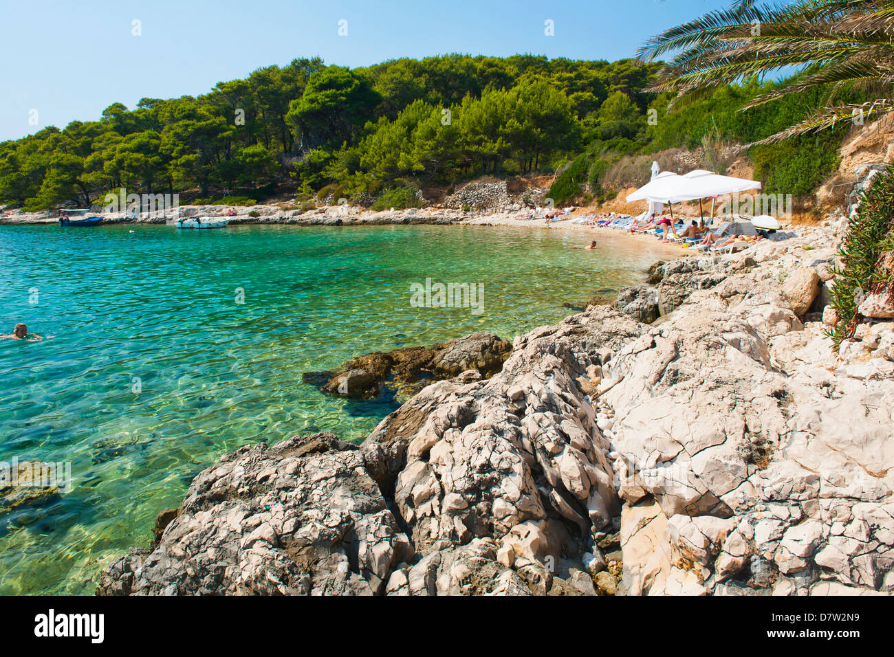 Dans la plage des îles Pakleni (Îles Paklinski), de la côte dalmate, Mer Adriatique, Croatie Banque D'Images