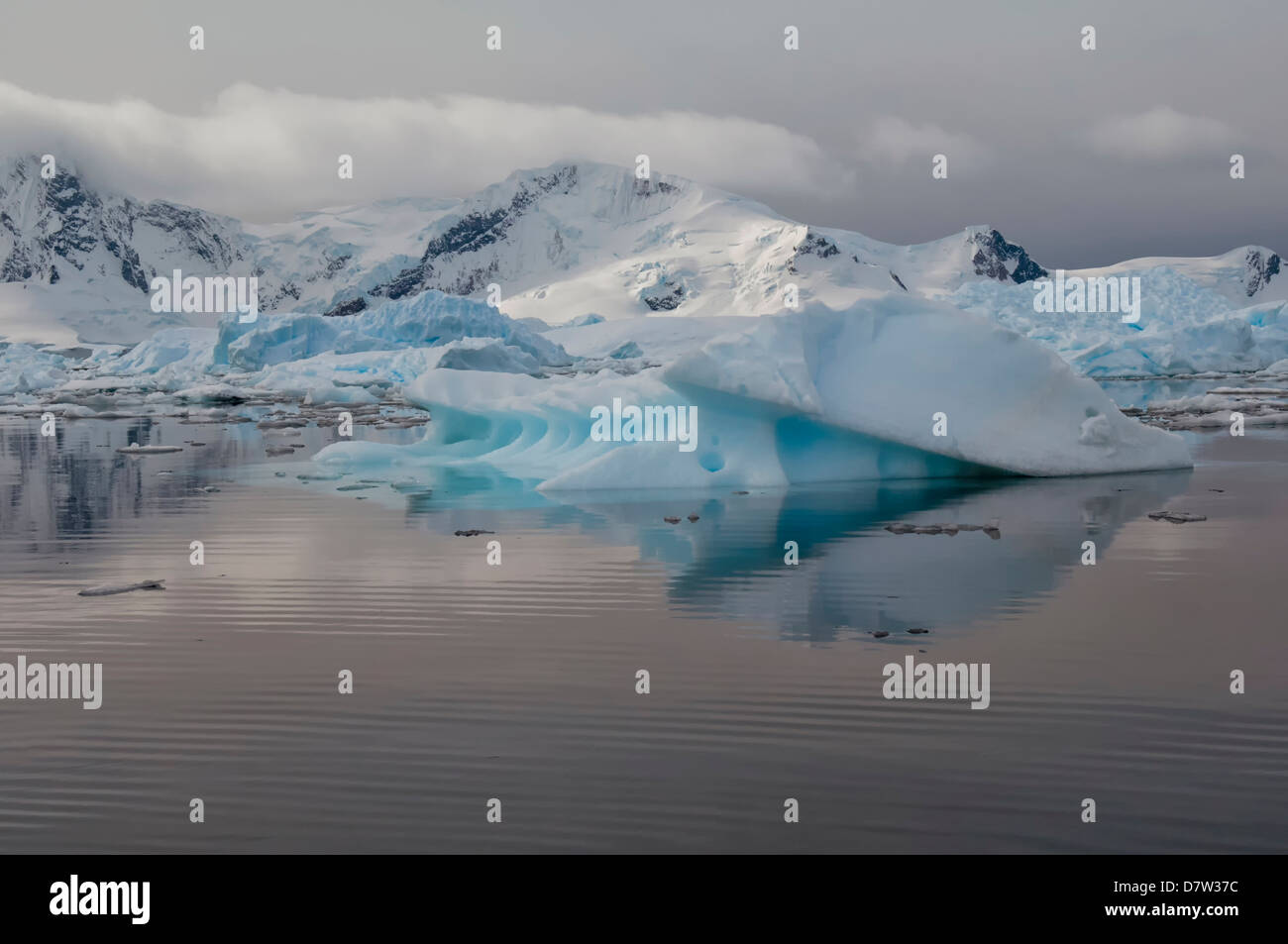 Bahia Paraiso (Paradise Bay), Péninsule Antarctique, l'Antarctique Banque D'Images