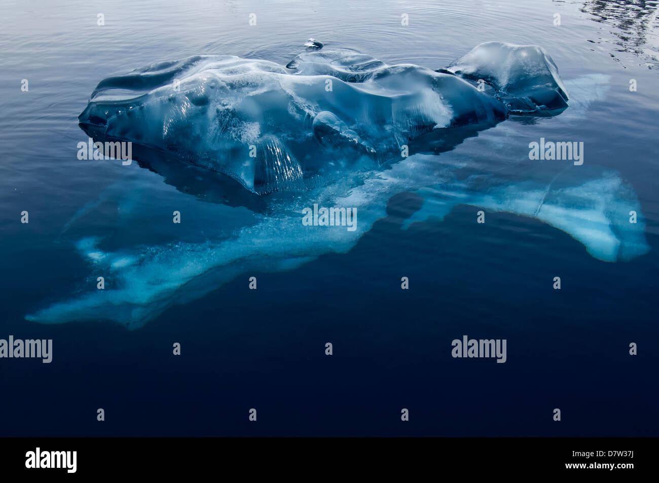 Black Ice, Bahia Paraiso (Paradise Bay), Péninsule Antarctique, l'Antarctique Banque D'Images