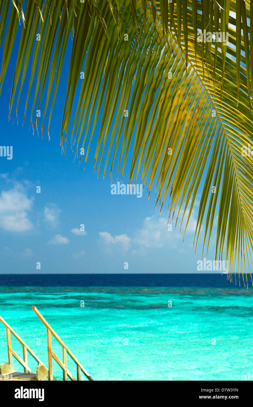 L'escalier en bois de mer tropicale, Maldives, océan Indien Banque D'Images